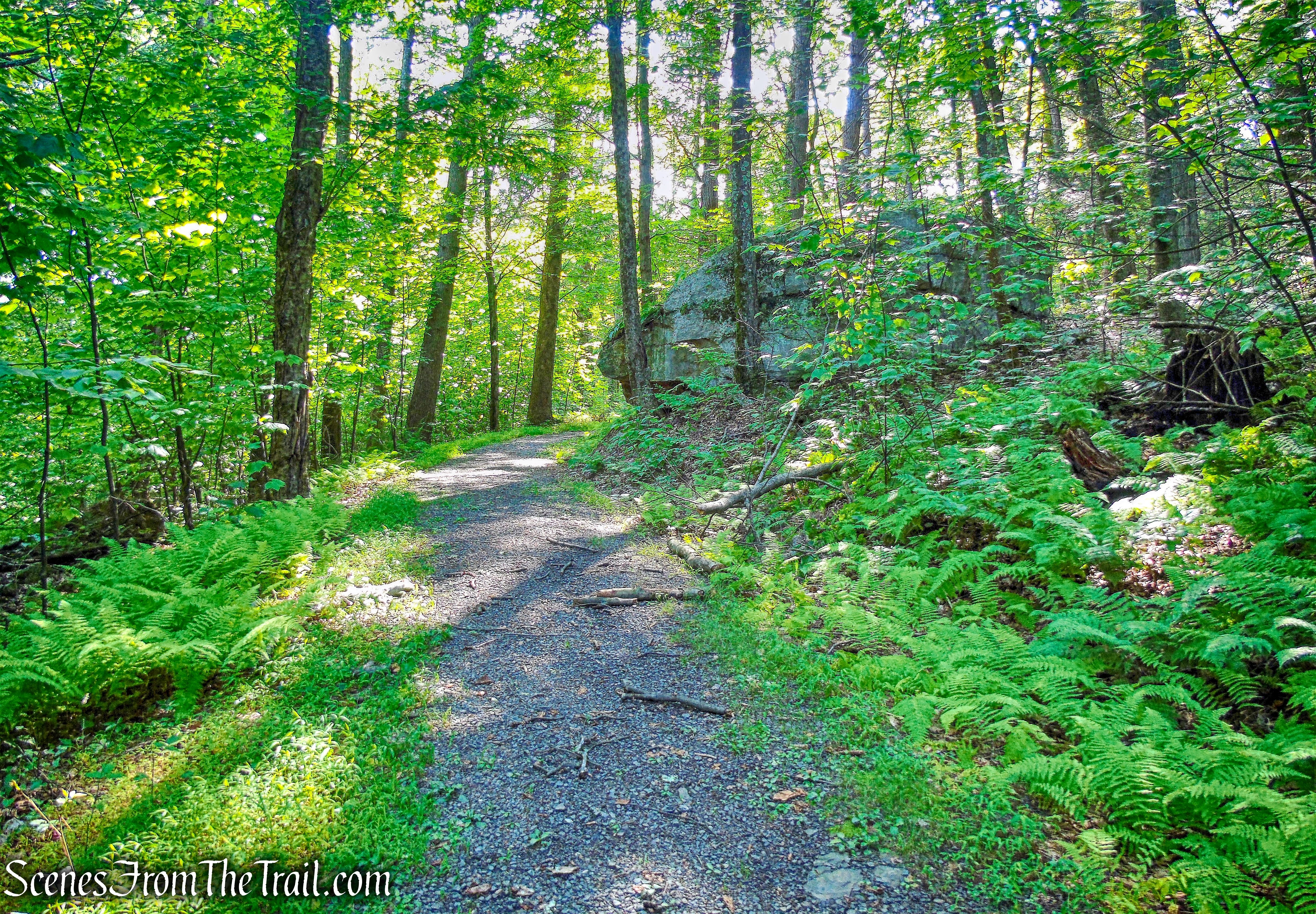 Glen Anna Road