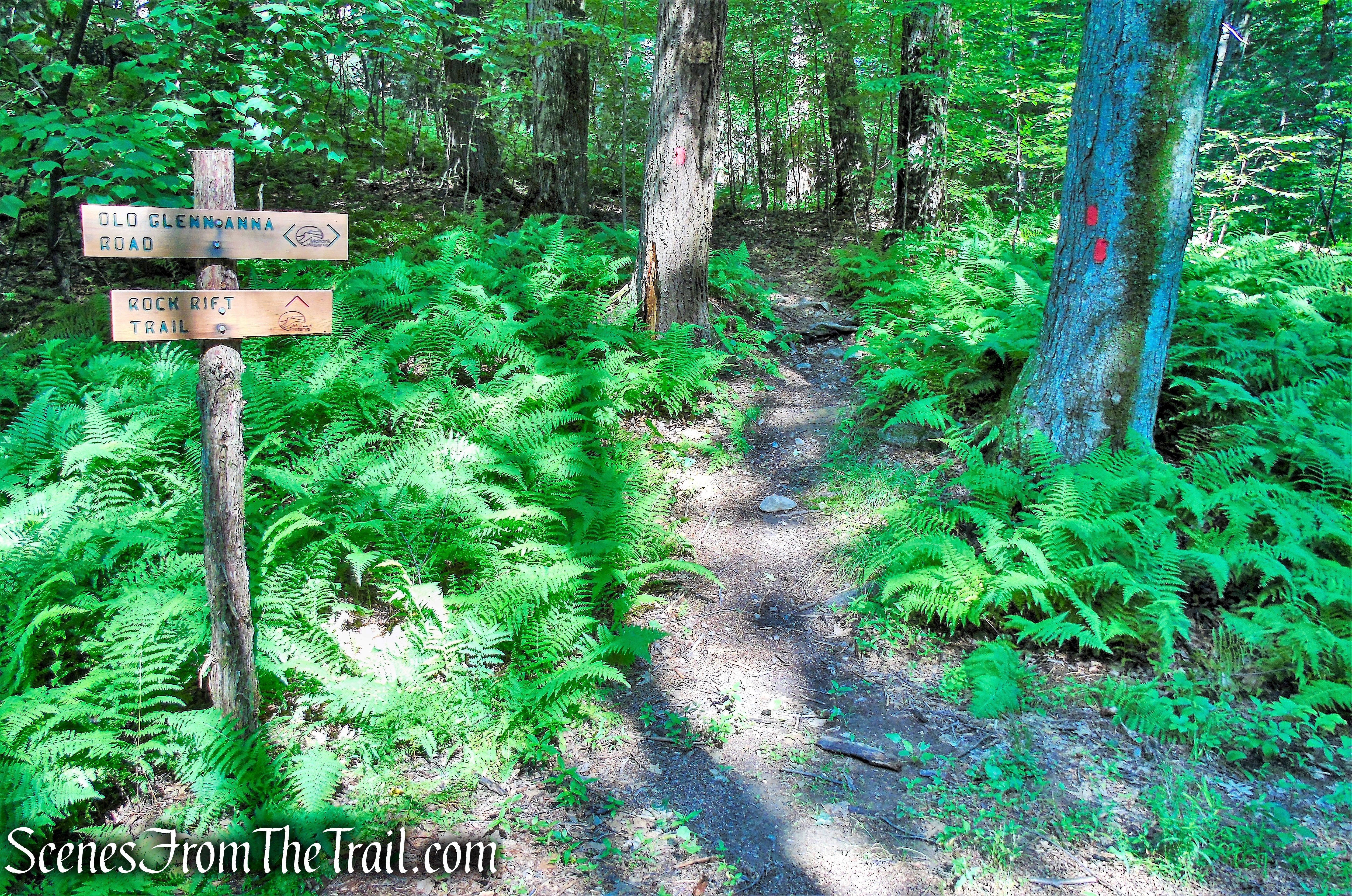 Rock Rift Trail