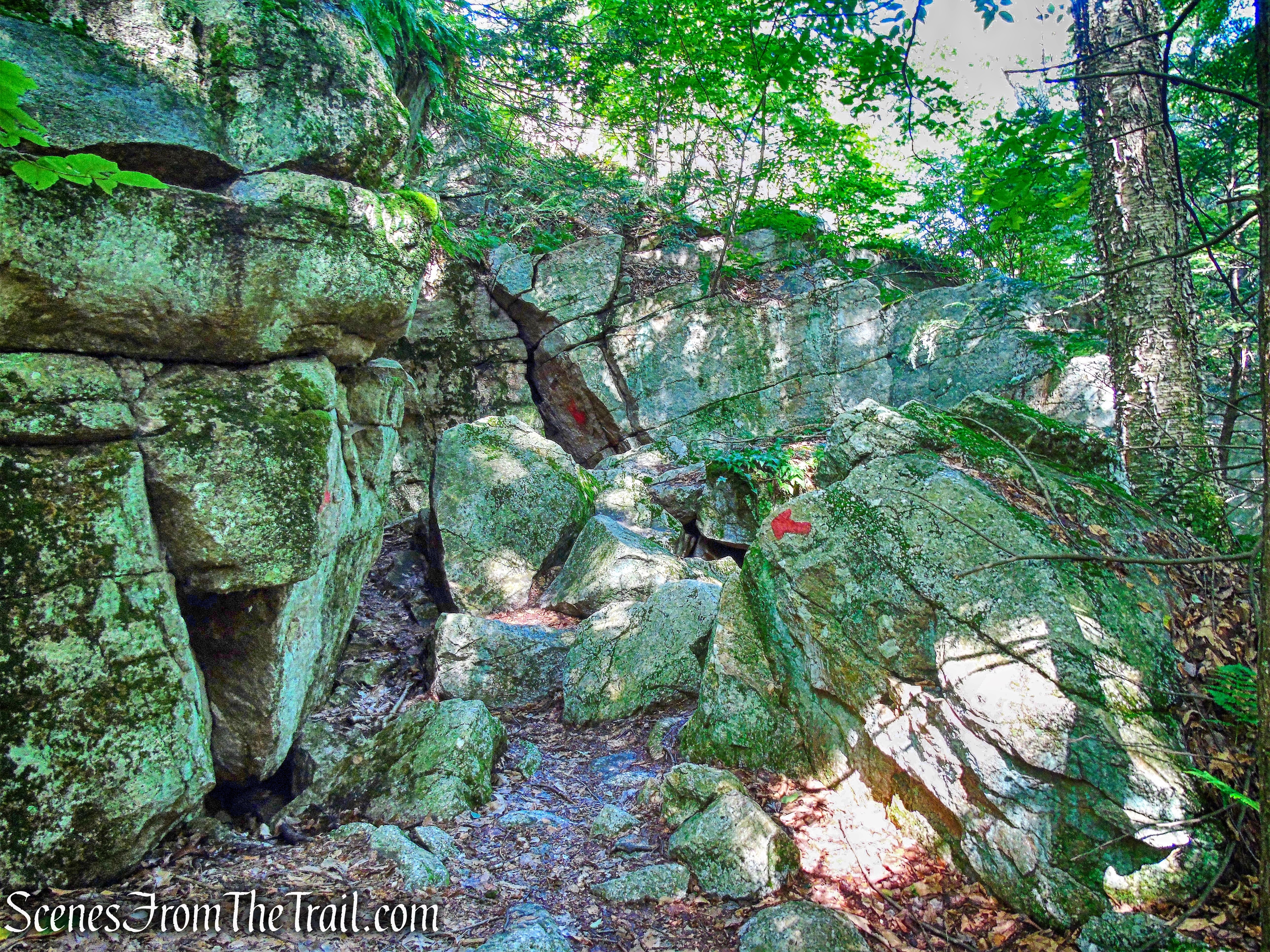 Rock Rift Trail