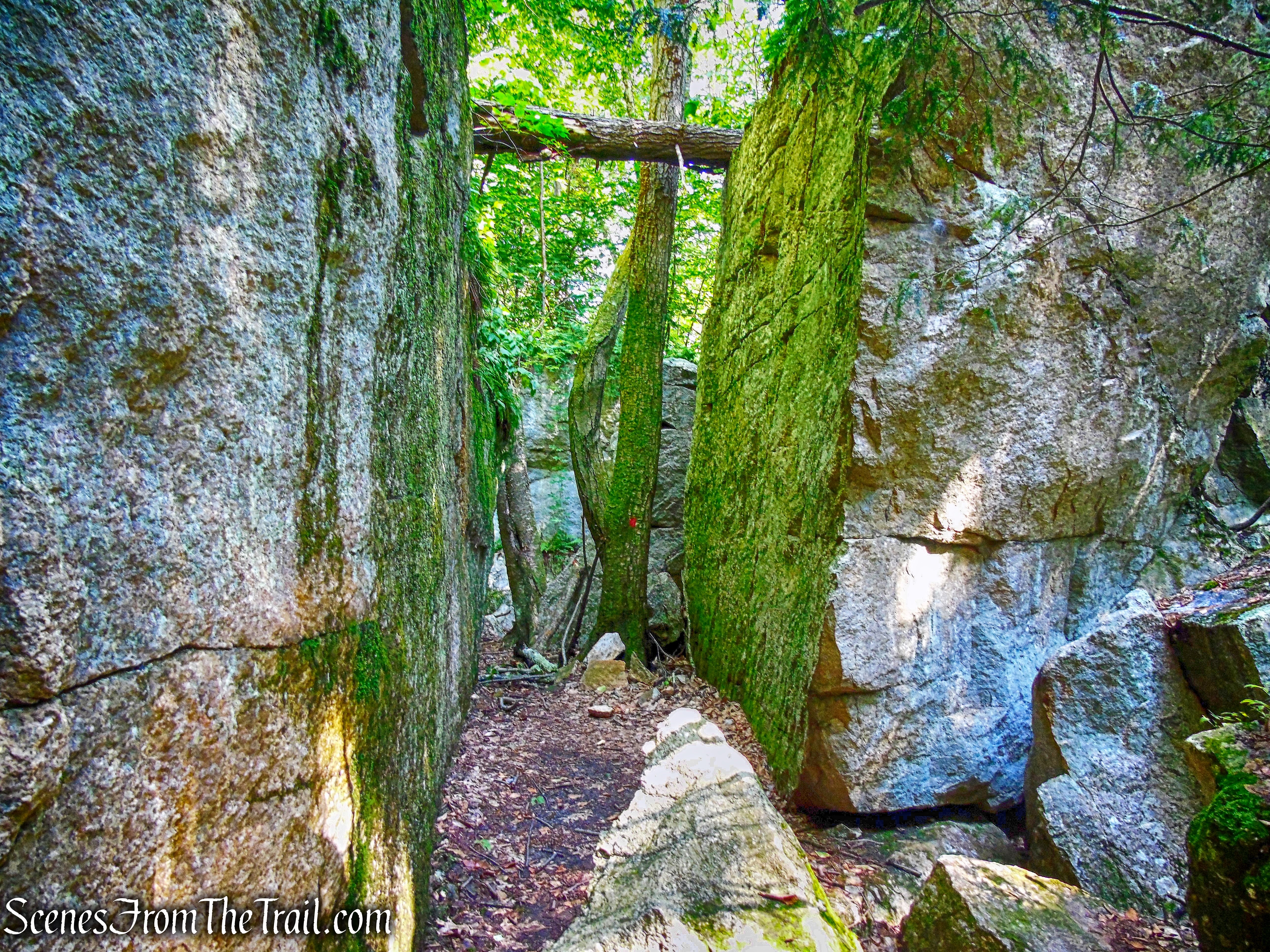 Rock Rift Trail