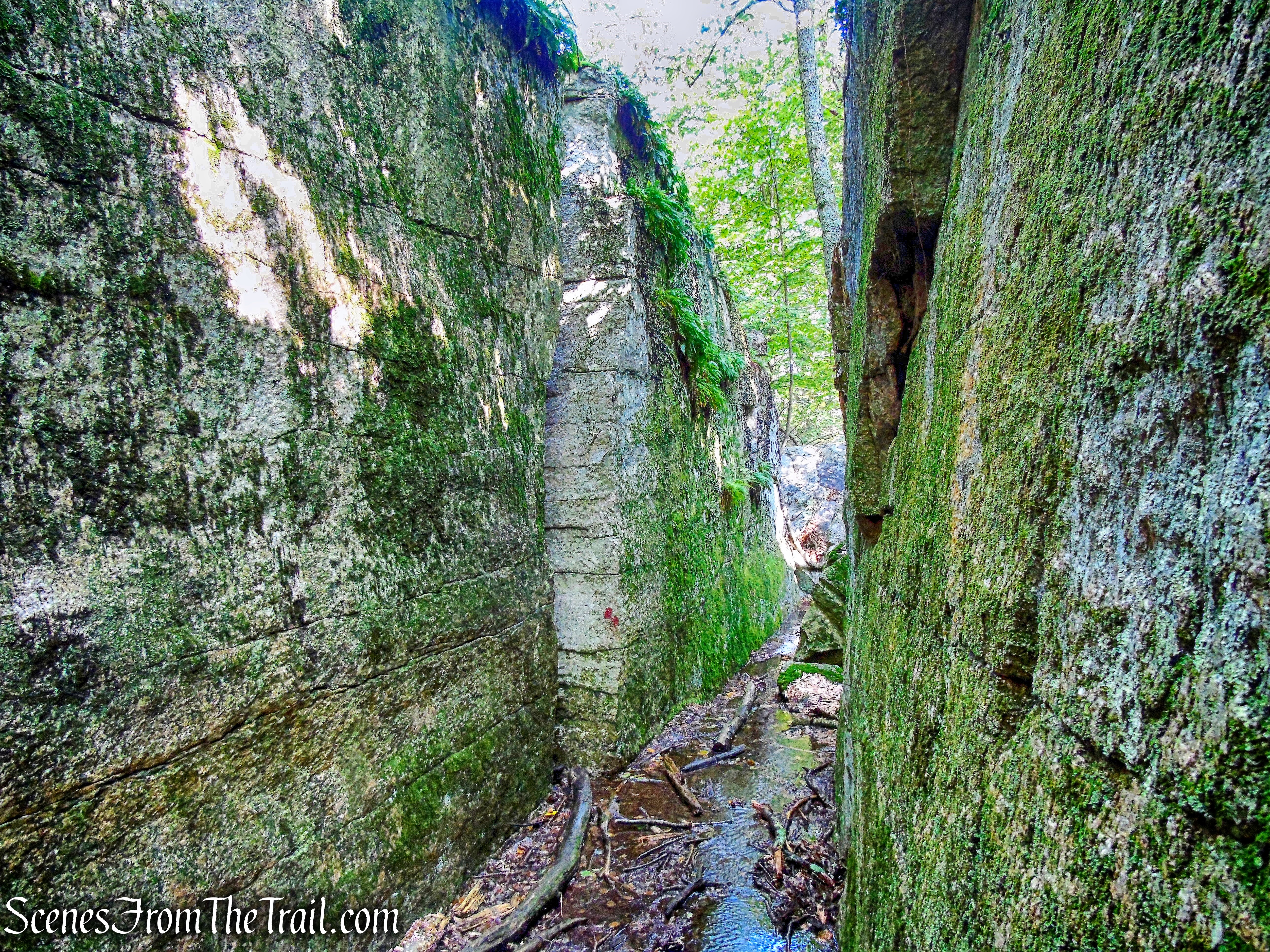 Rock Rift Trail