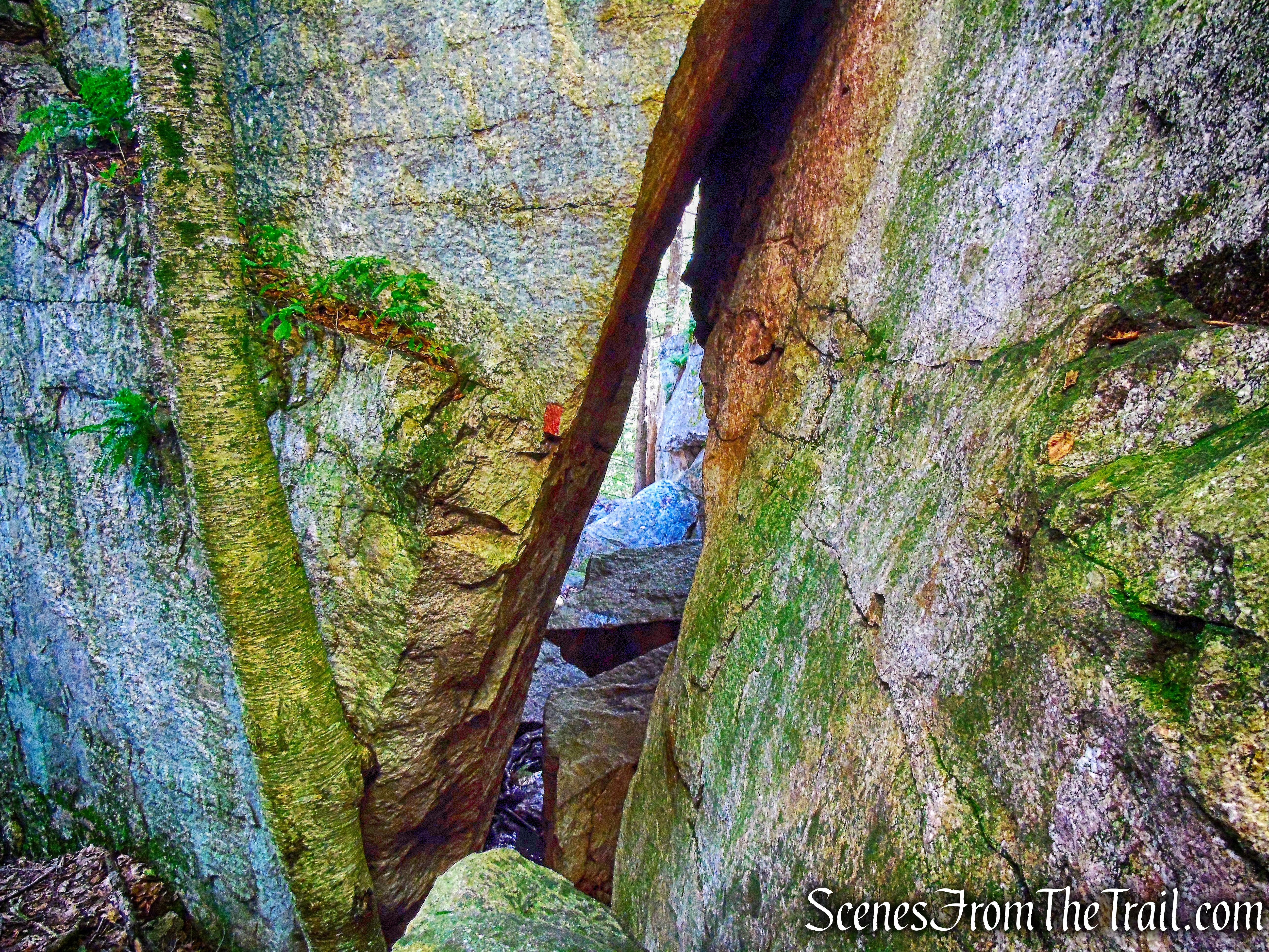 Rock Rift Trail