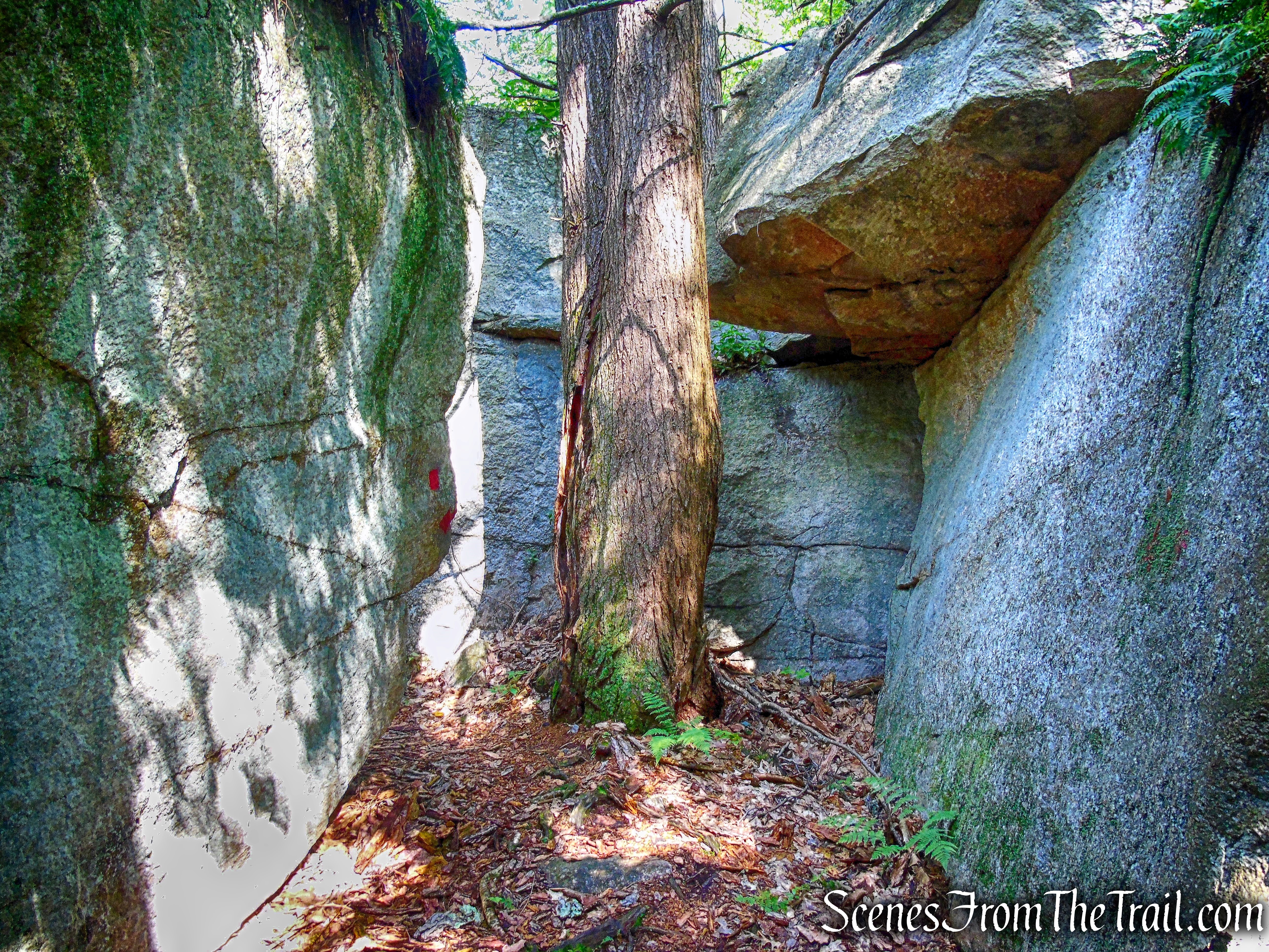 Rock Rift Trail