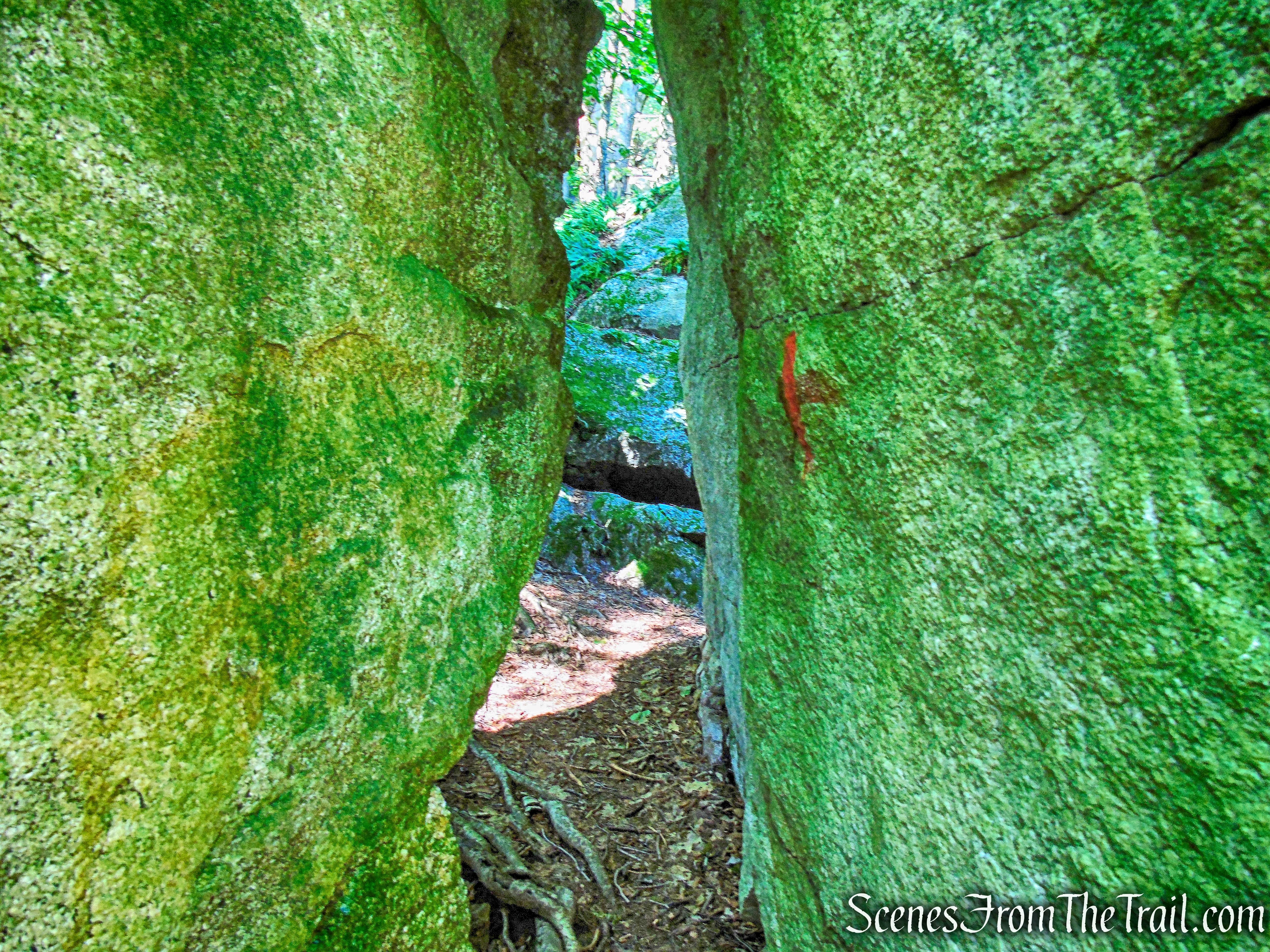 Rock Rift Trail