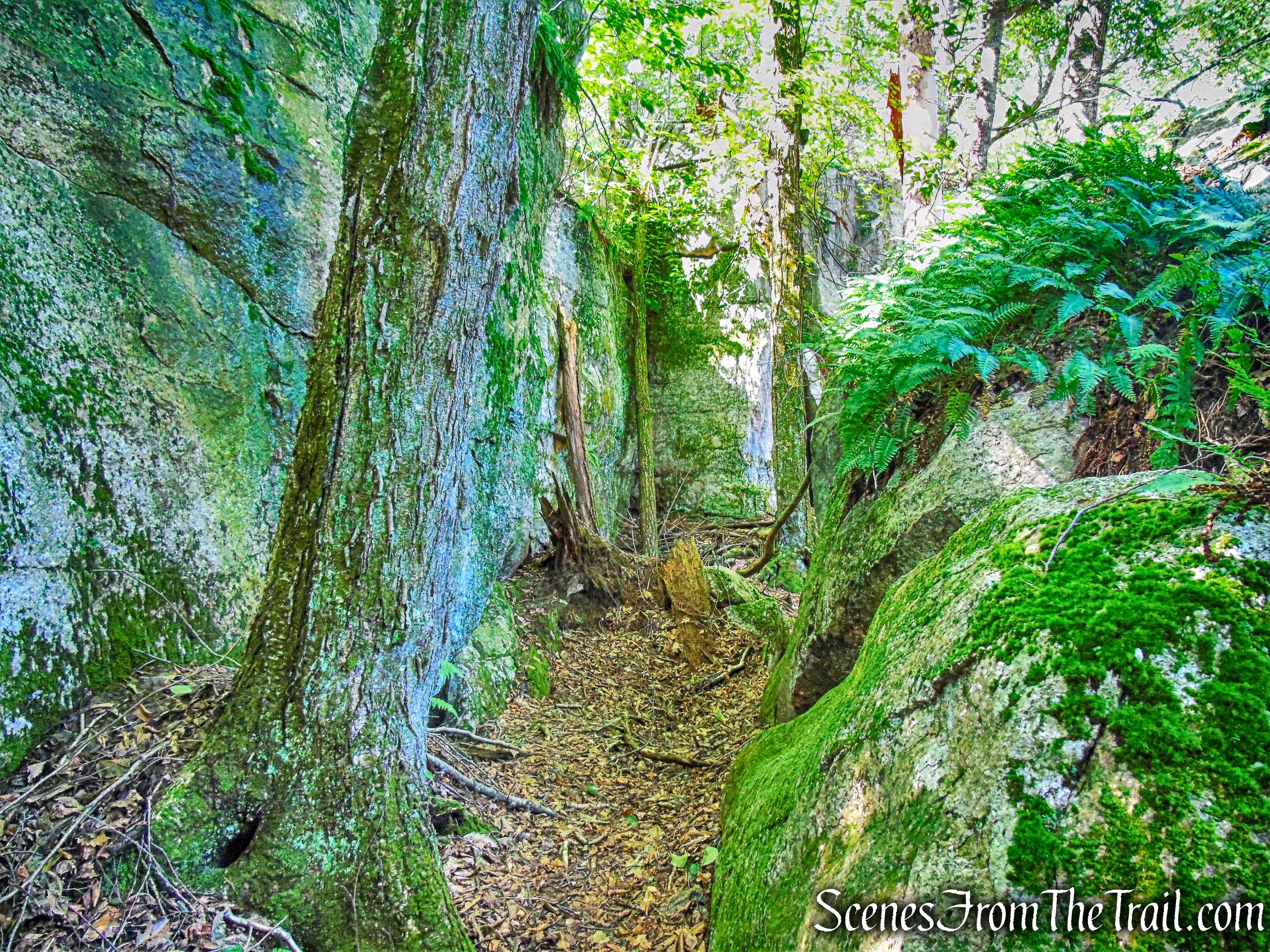 Rock Rift Trail