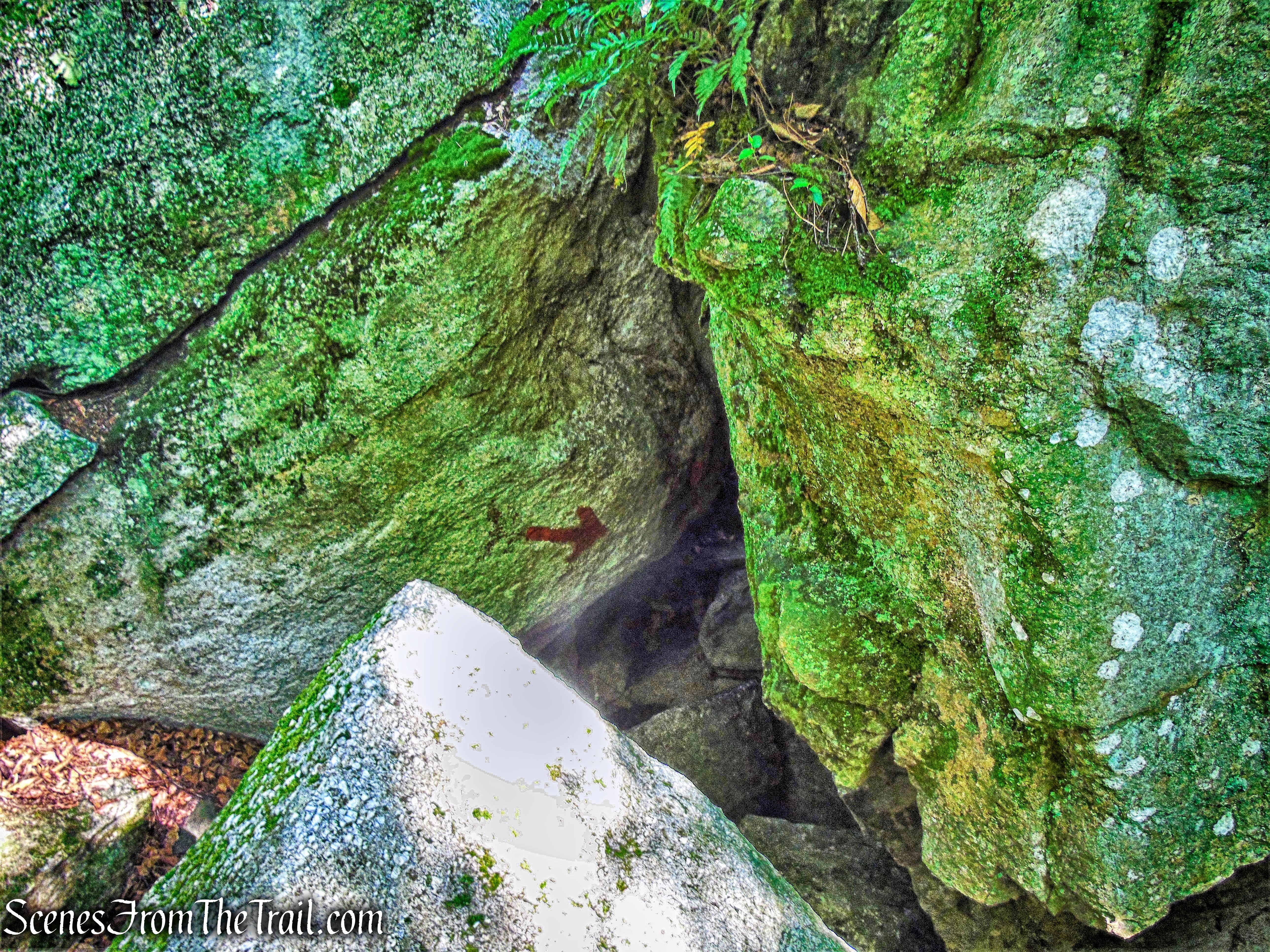 Rock Rift Trail