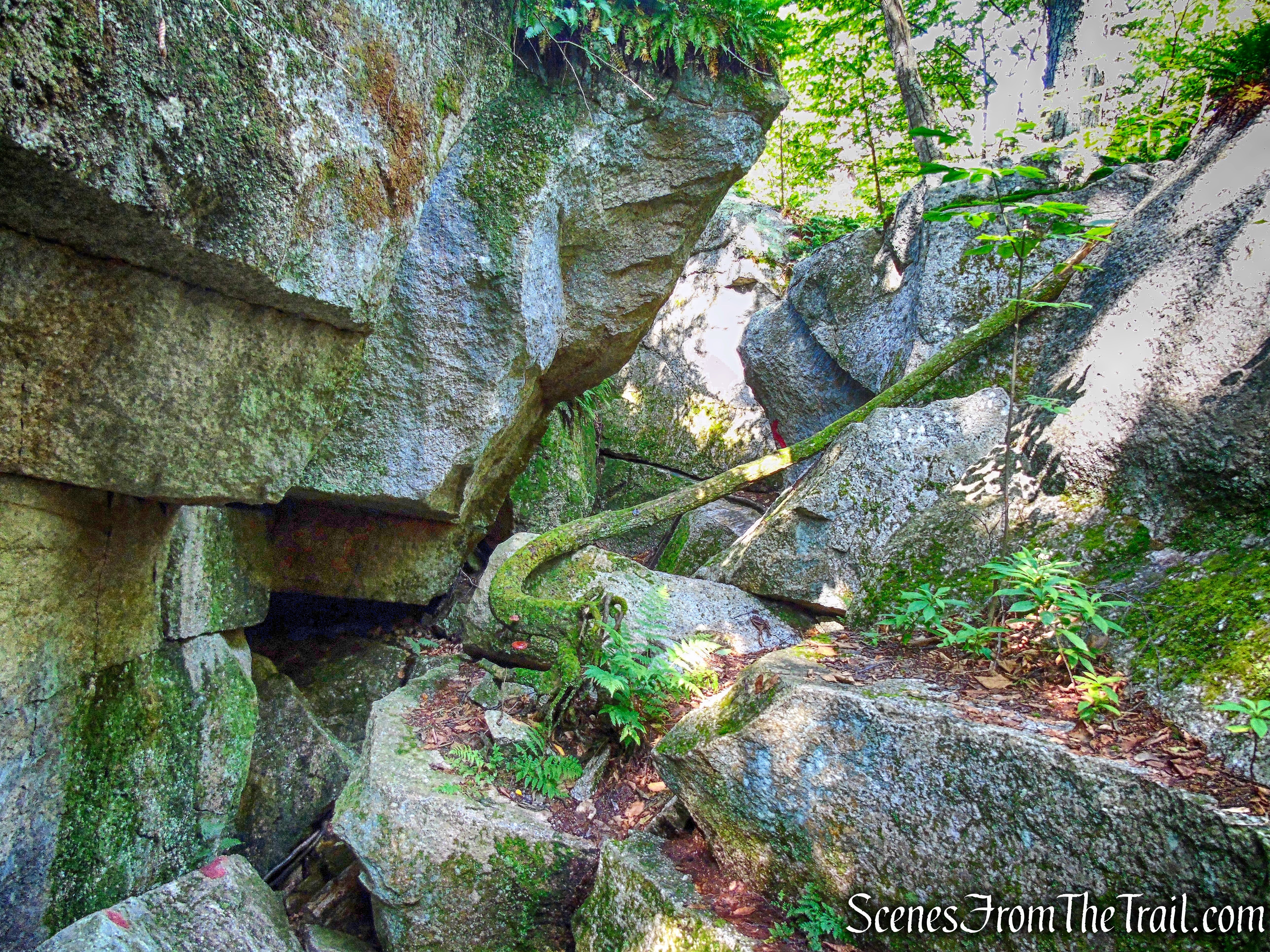 Rock Rift Trail