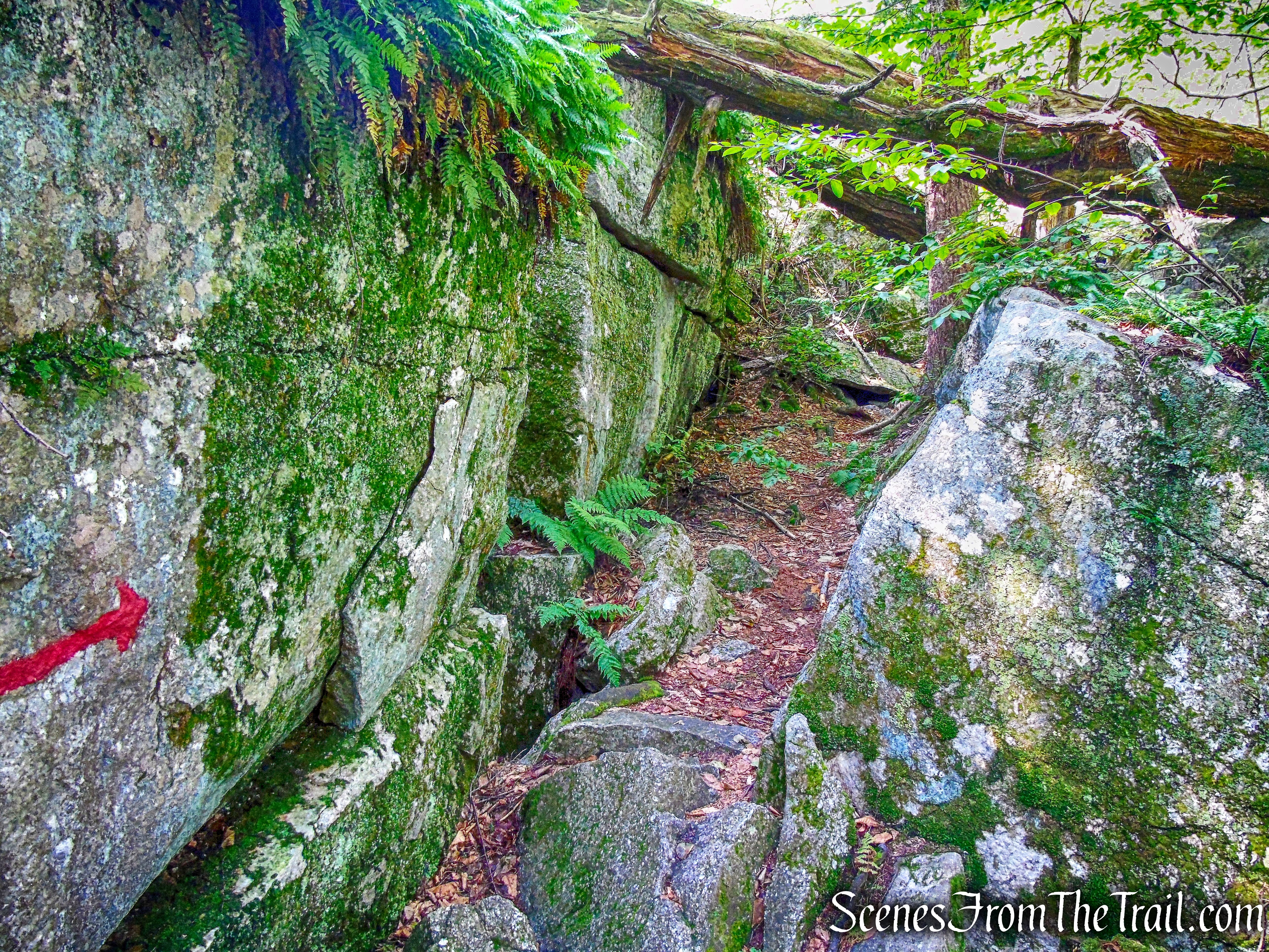Rock Rift Trail