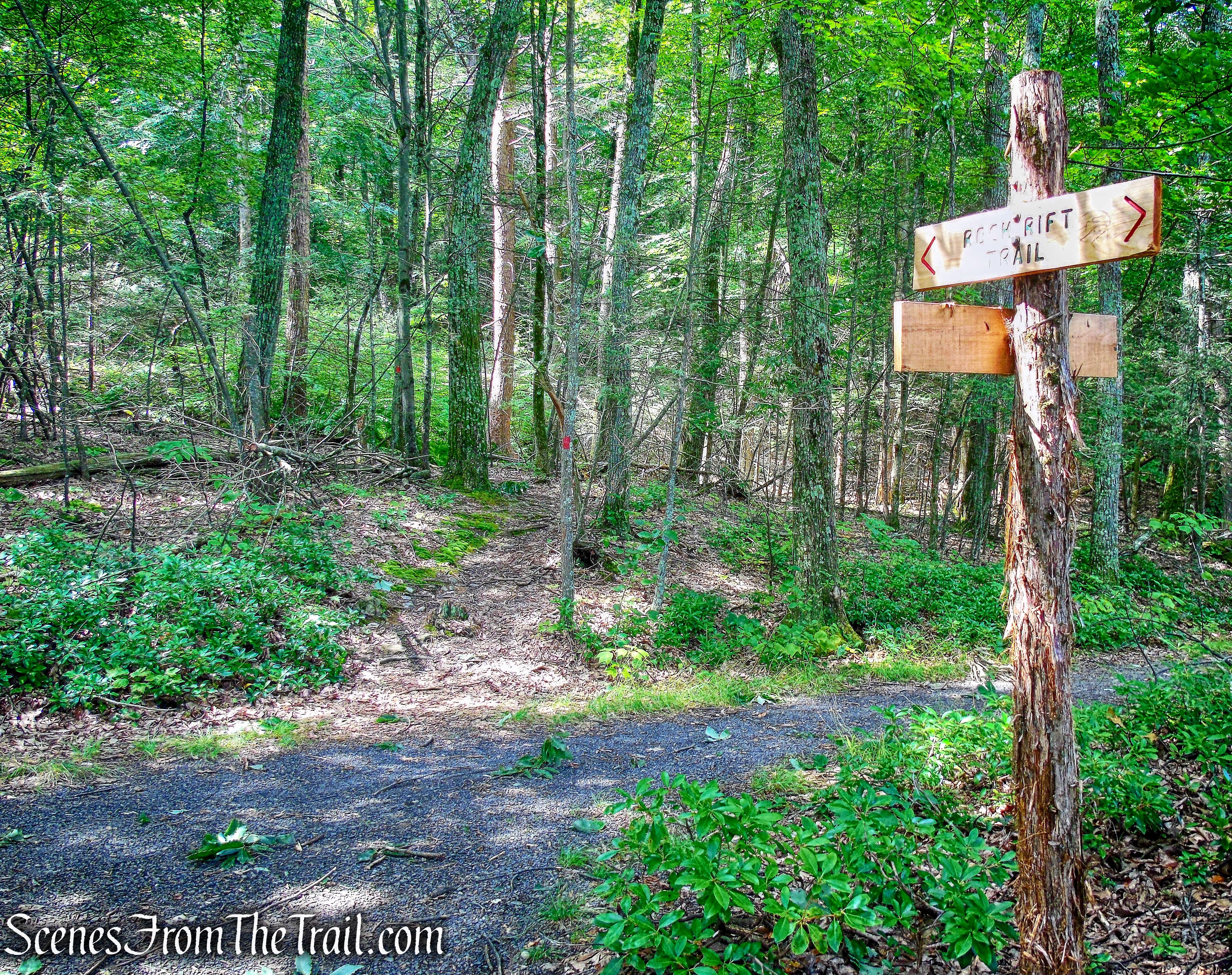 Junction of Rock Rift Trail and Rock Rift Road