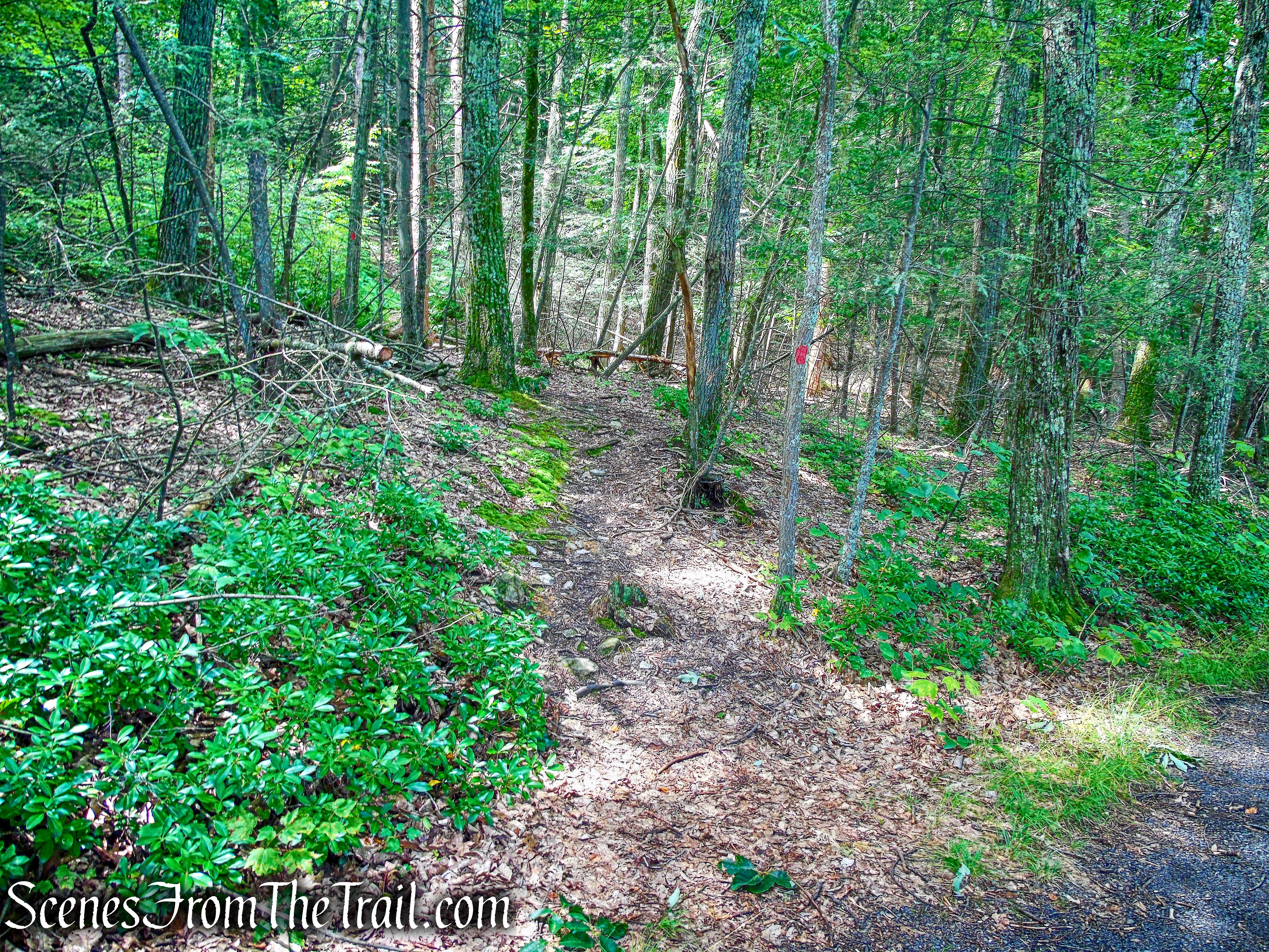 Rock Rift Trail