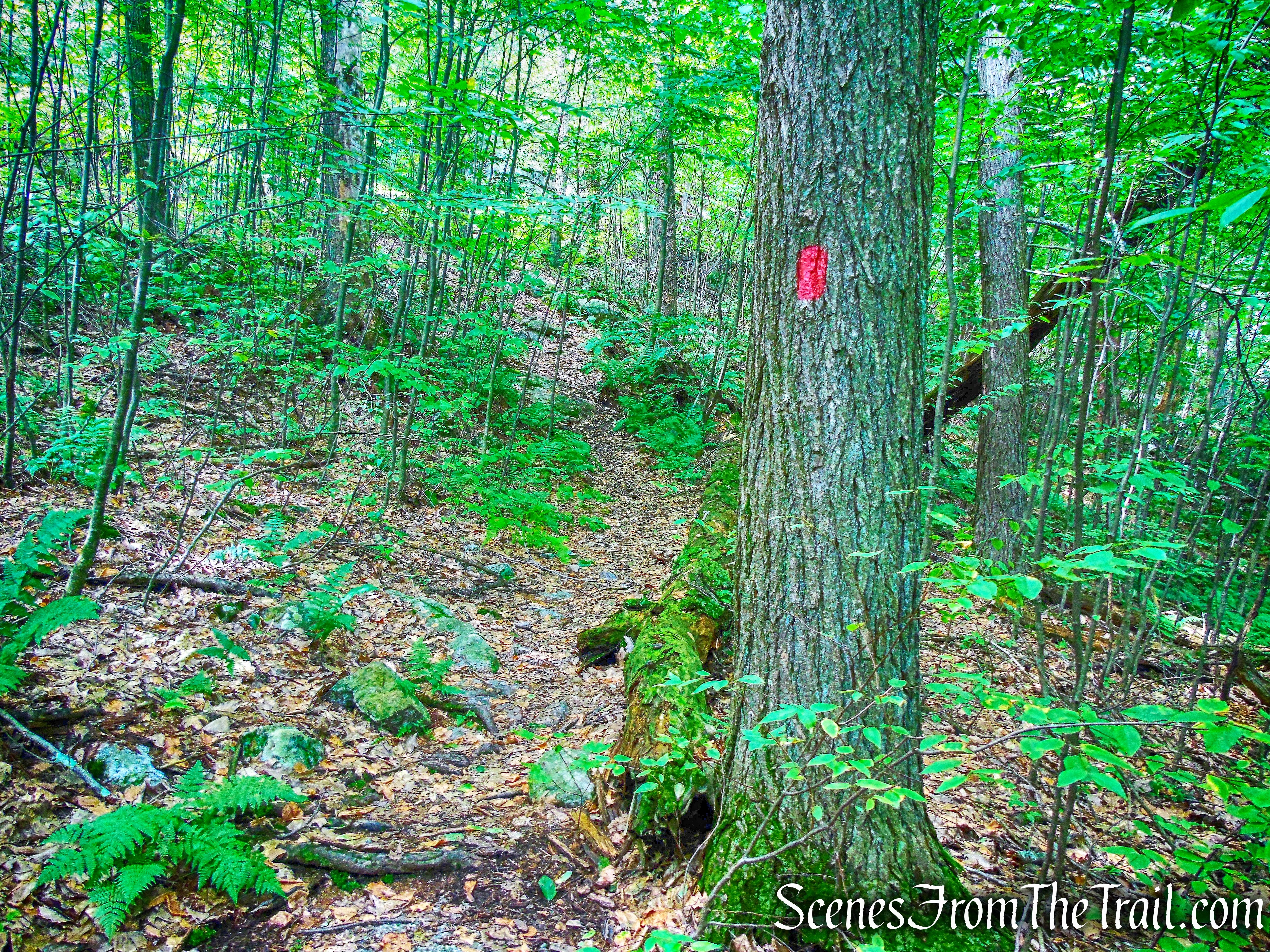 Rock Rift Trail
