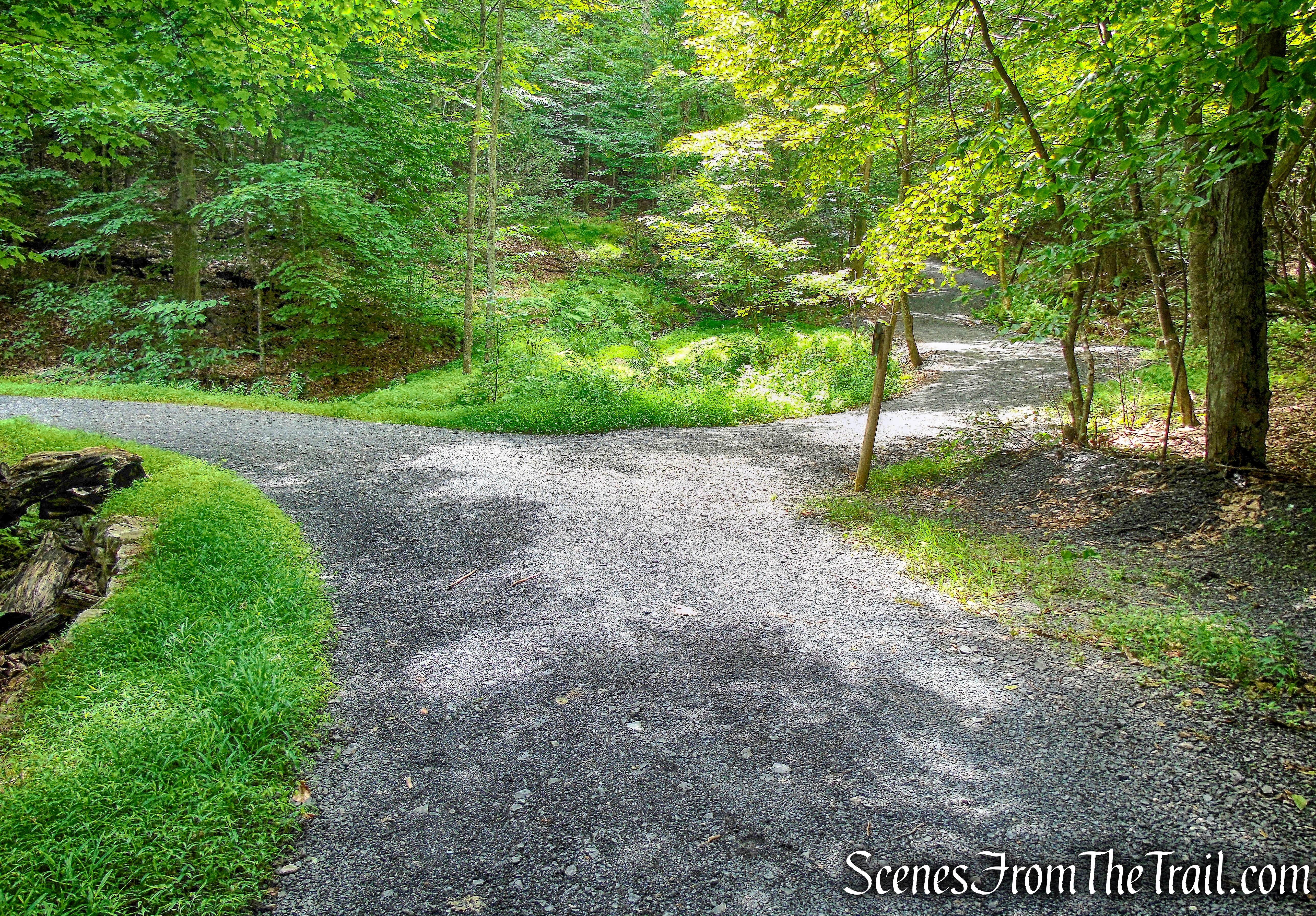stay left to continue on North Lookout Road