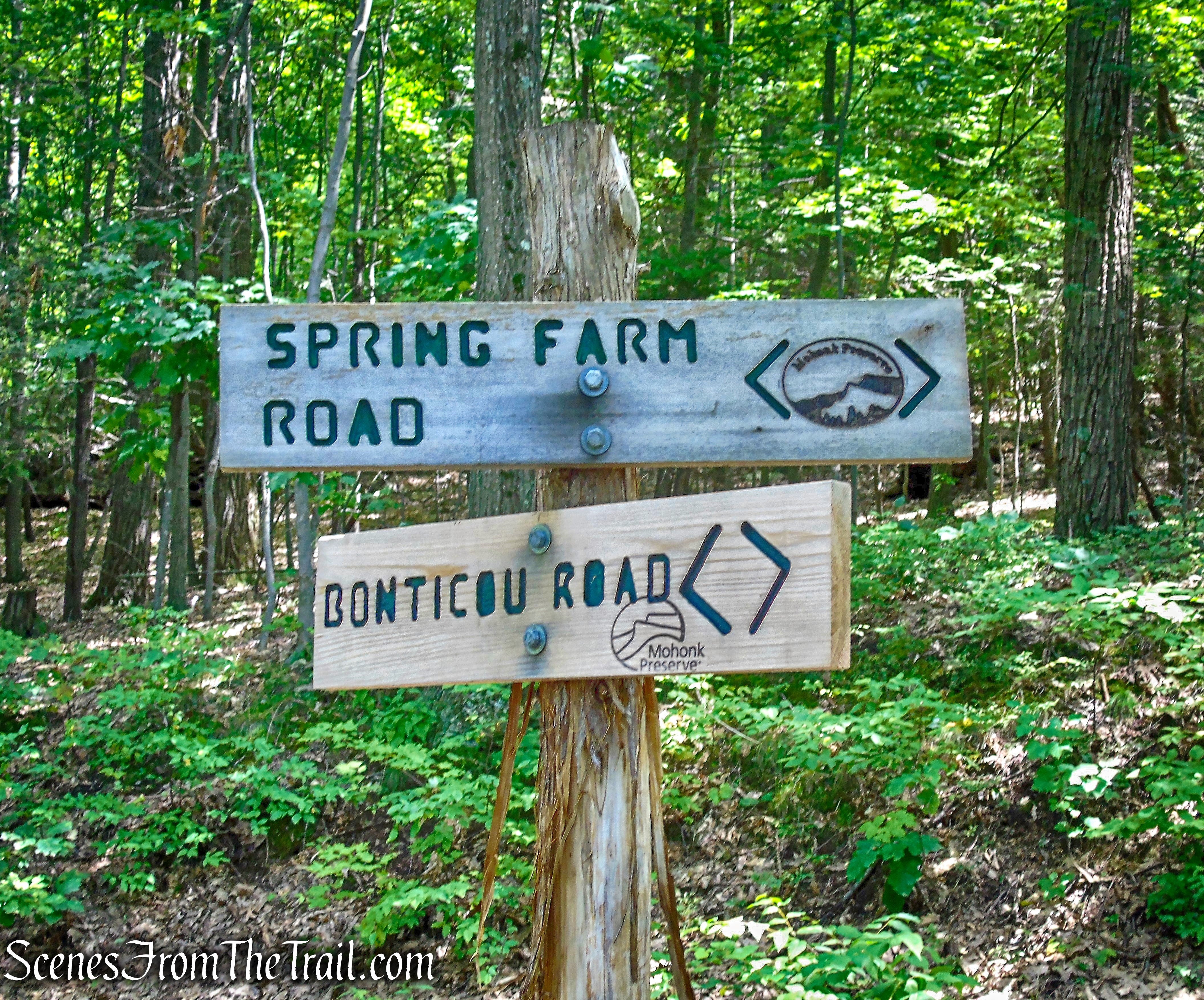turn left on Spring Farm Road
