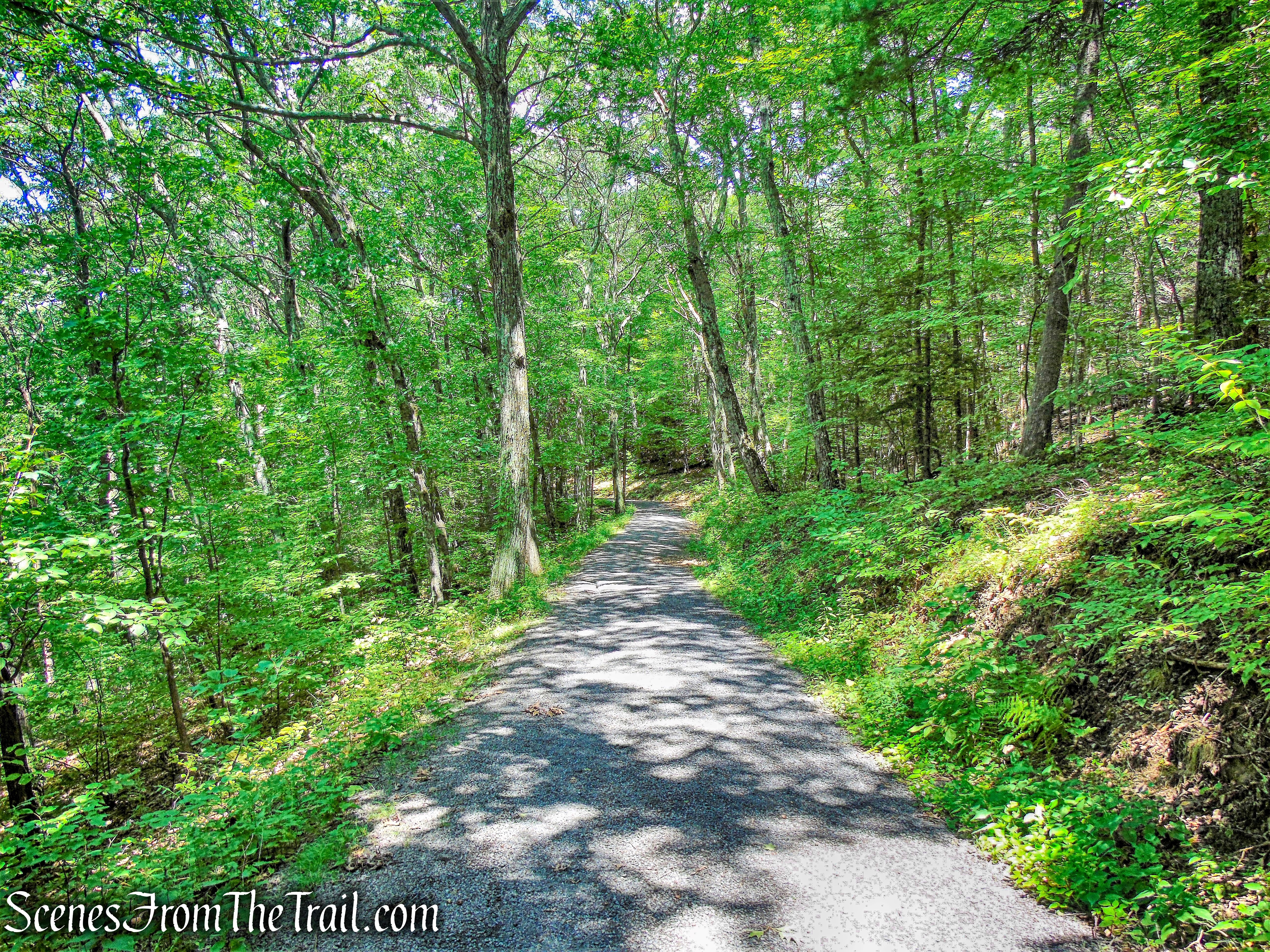 Spring Farm Road