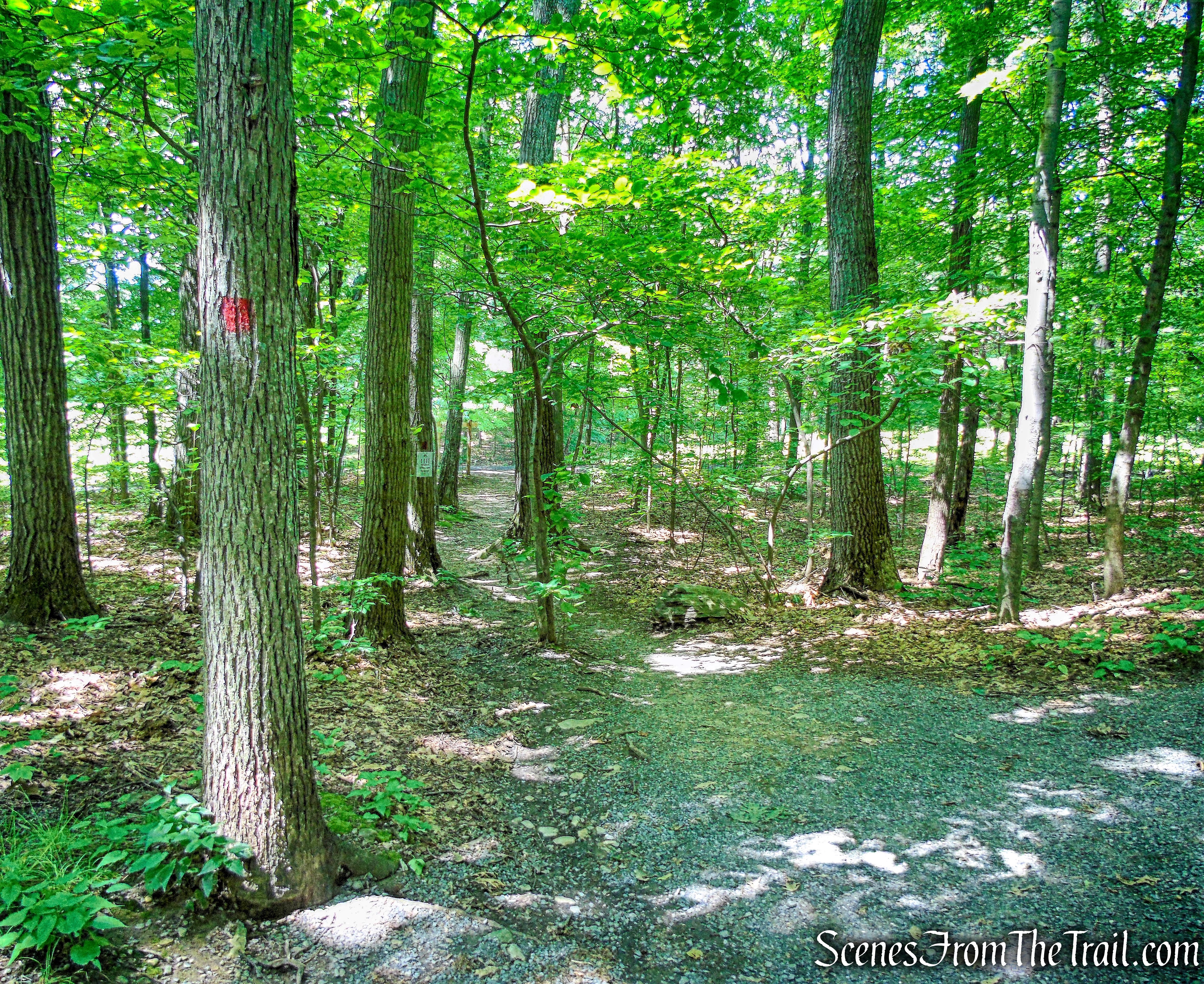 Crag Trail