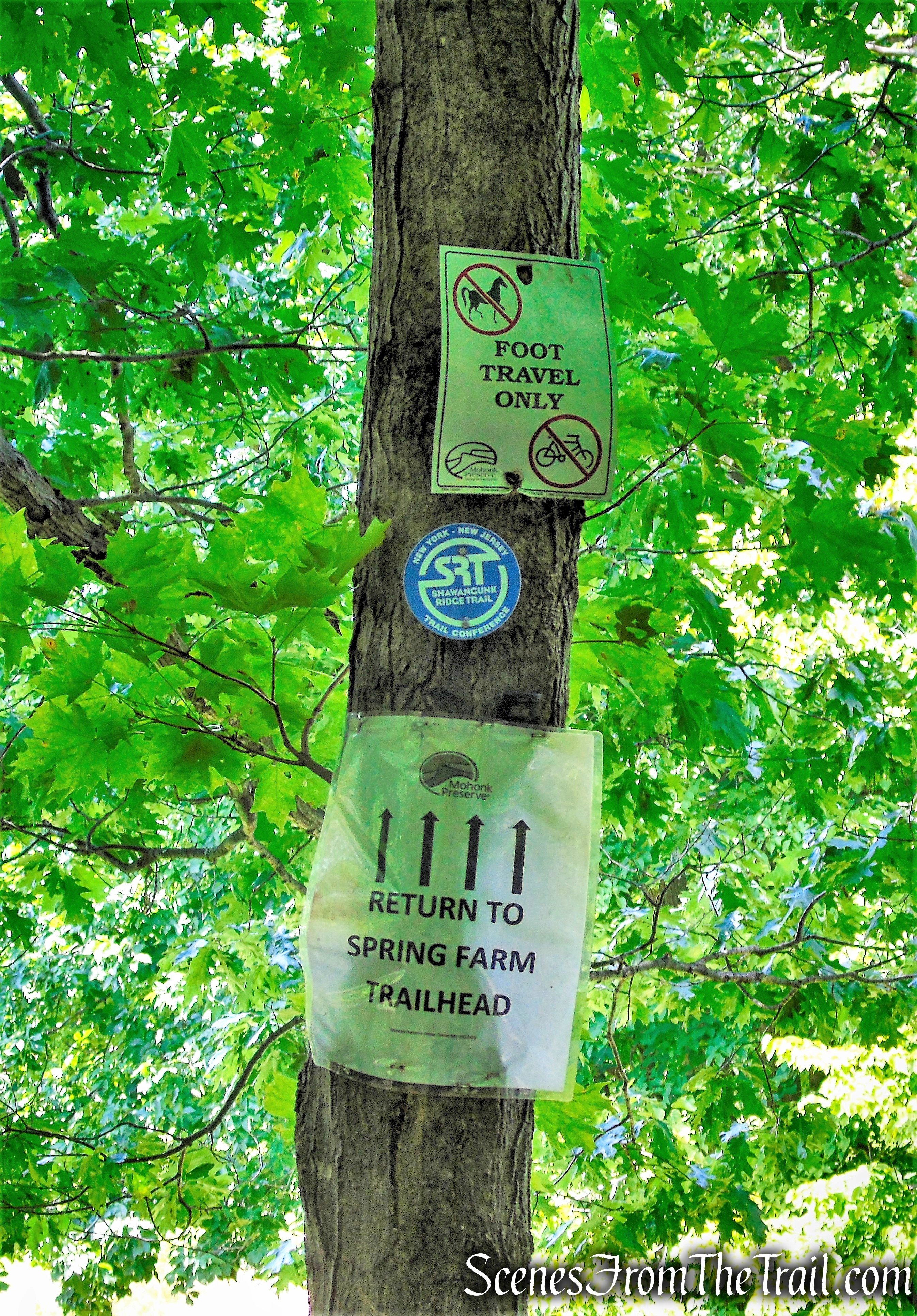 Crag Trail