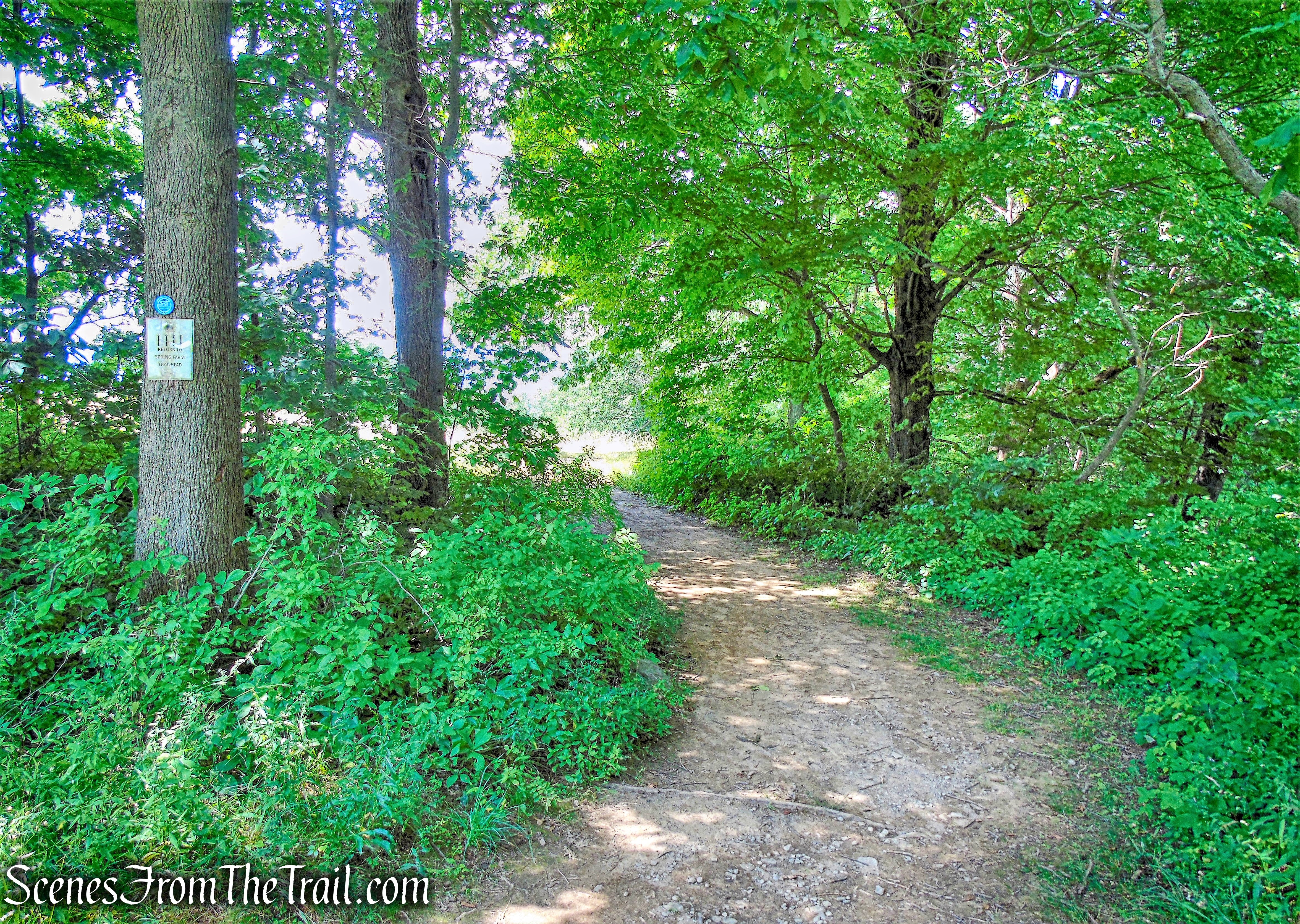Crag Trail