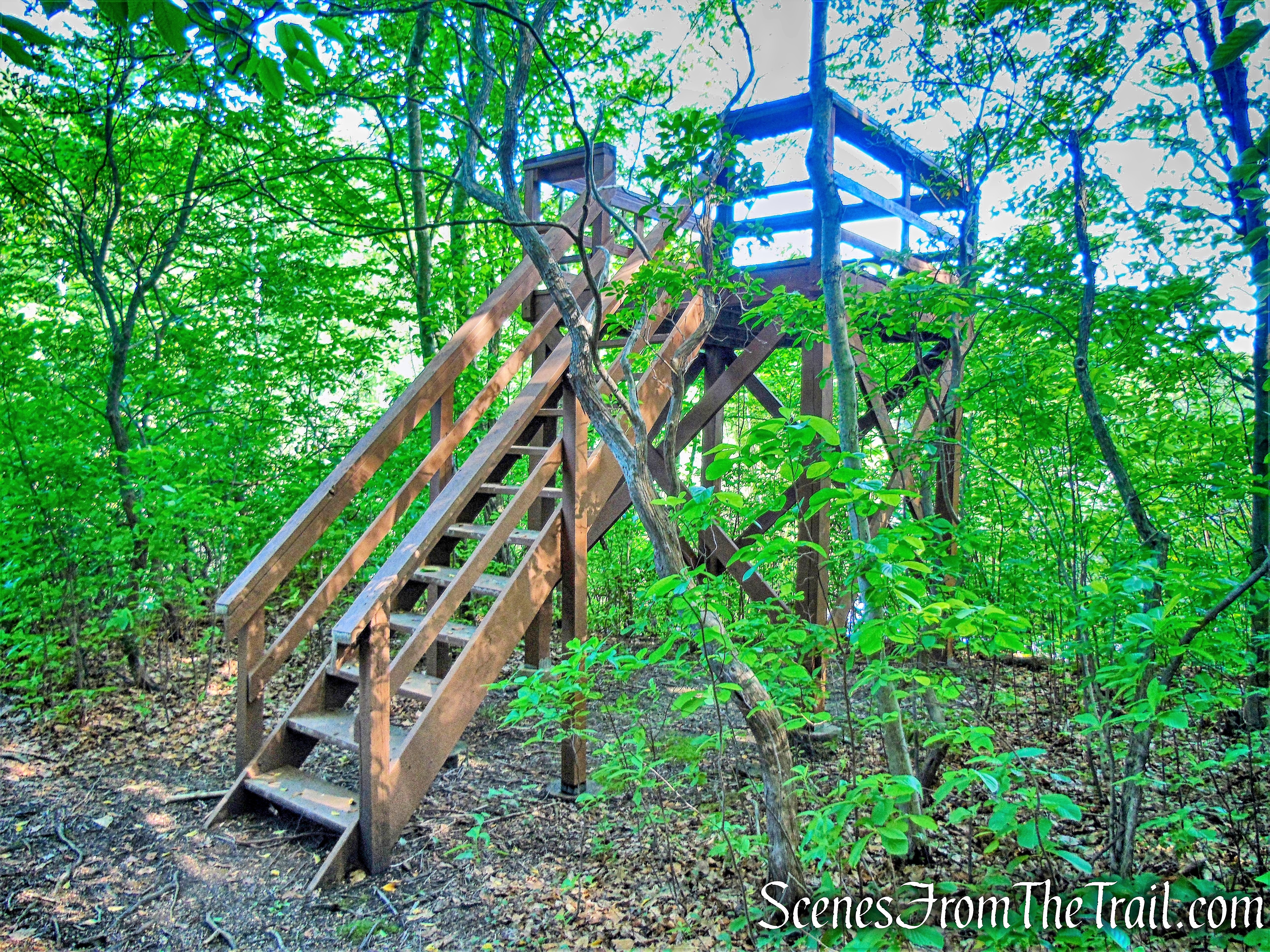 wooden observation platform