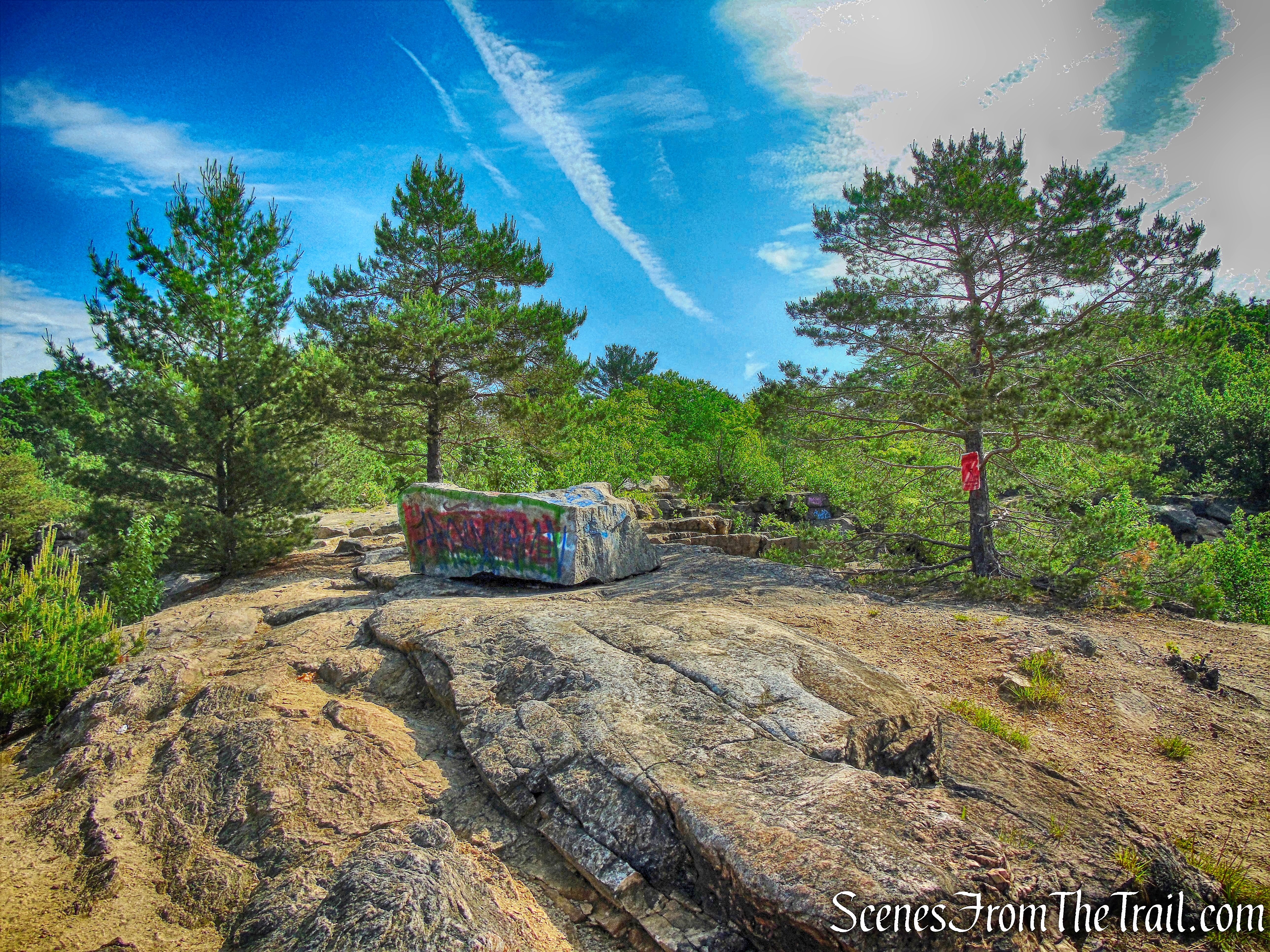 quarry cliffs - Purple History Loop