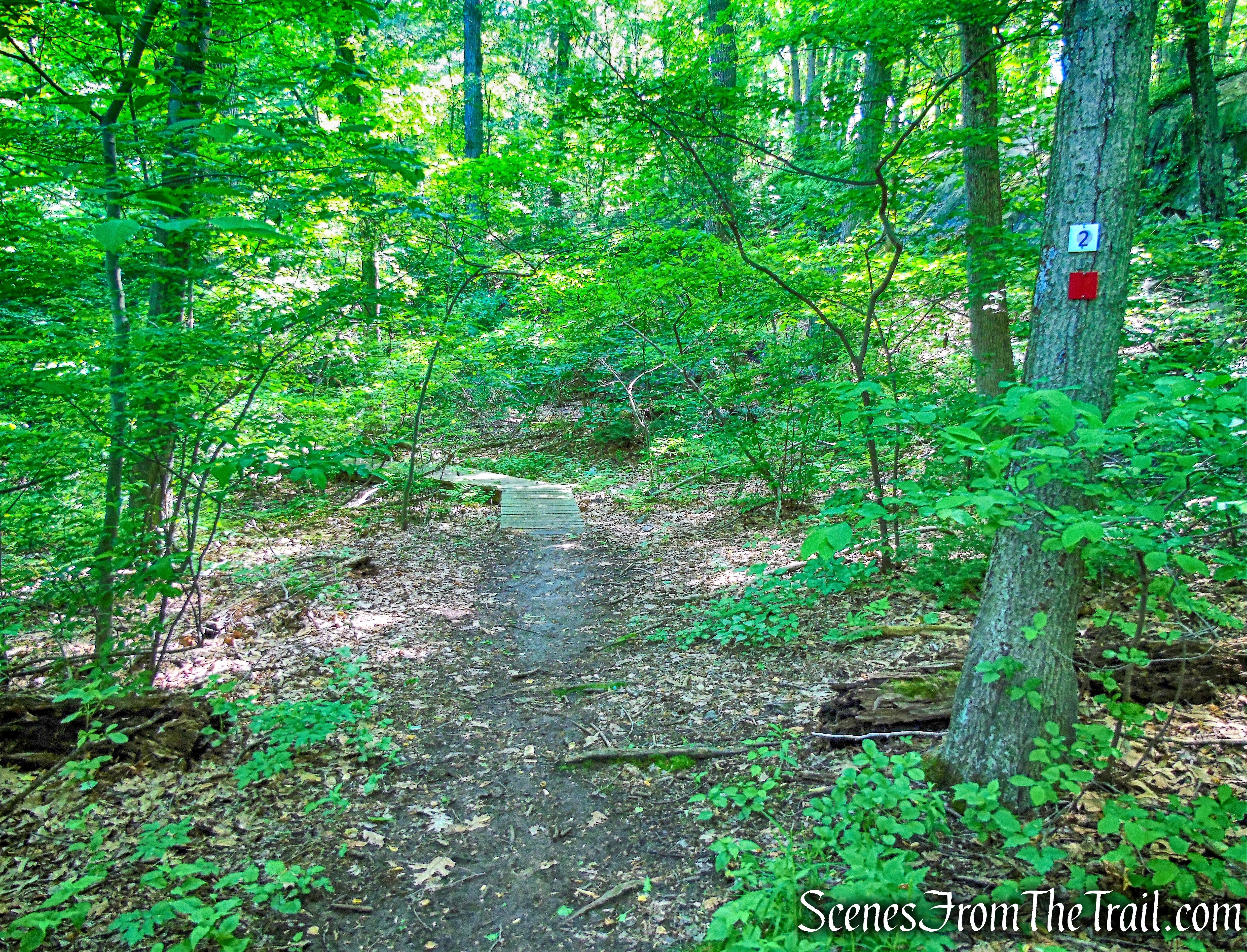 Red Loop Trail/Purple History Loop