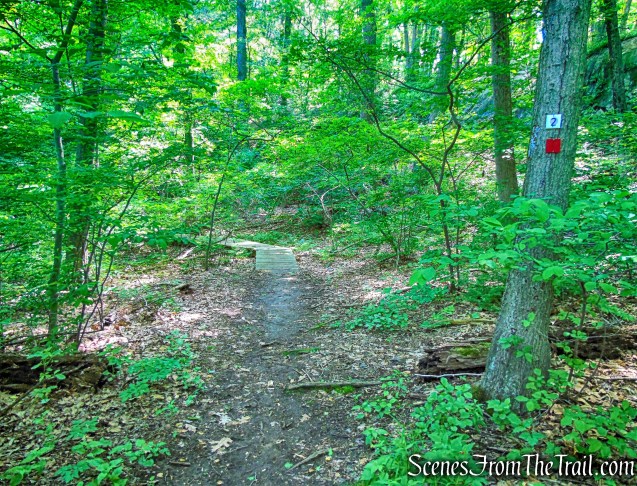 Red Loop Trail/Purple History Loop