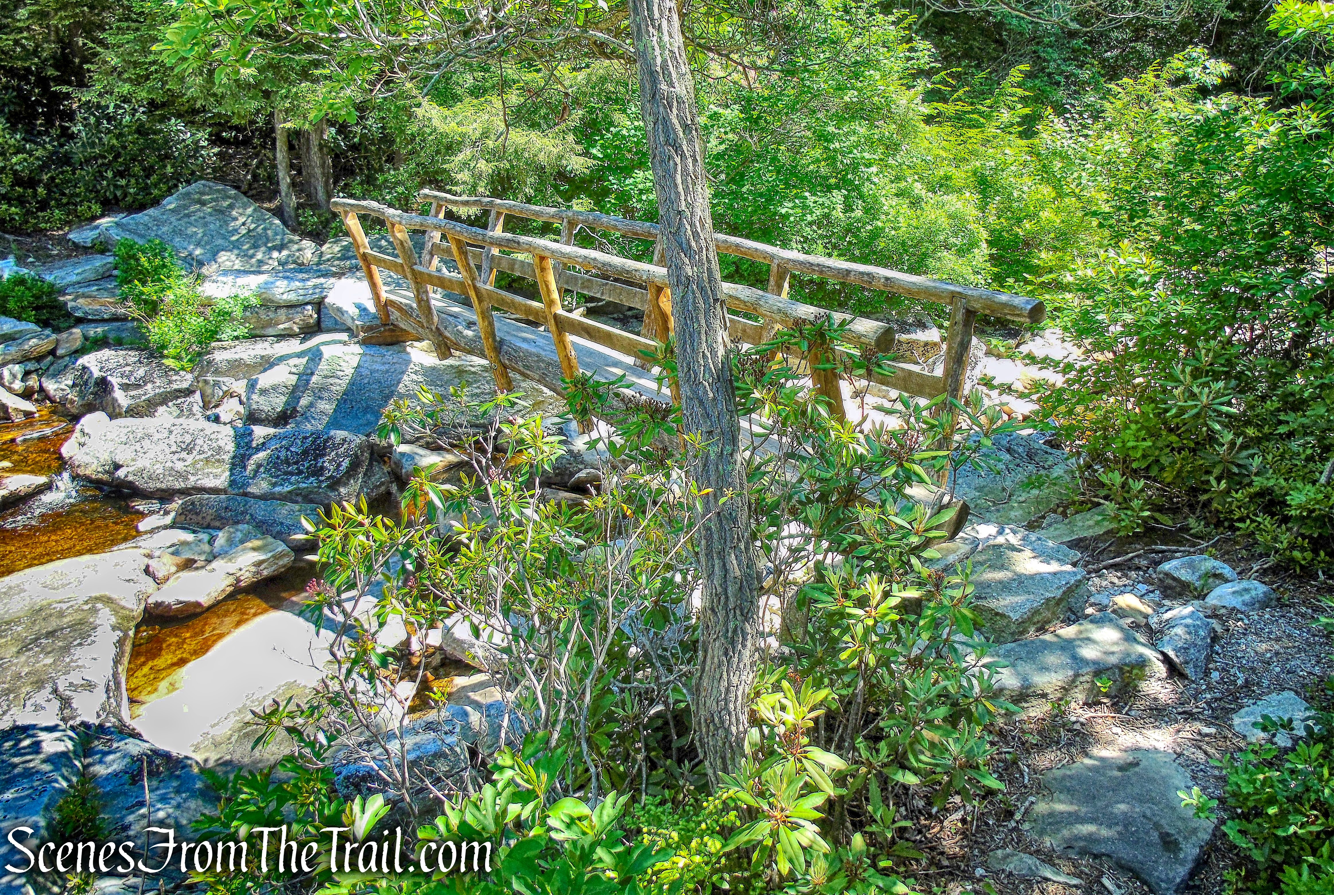 one-log footbridge - Blueberry Run Footpath