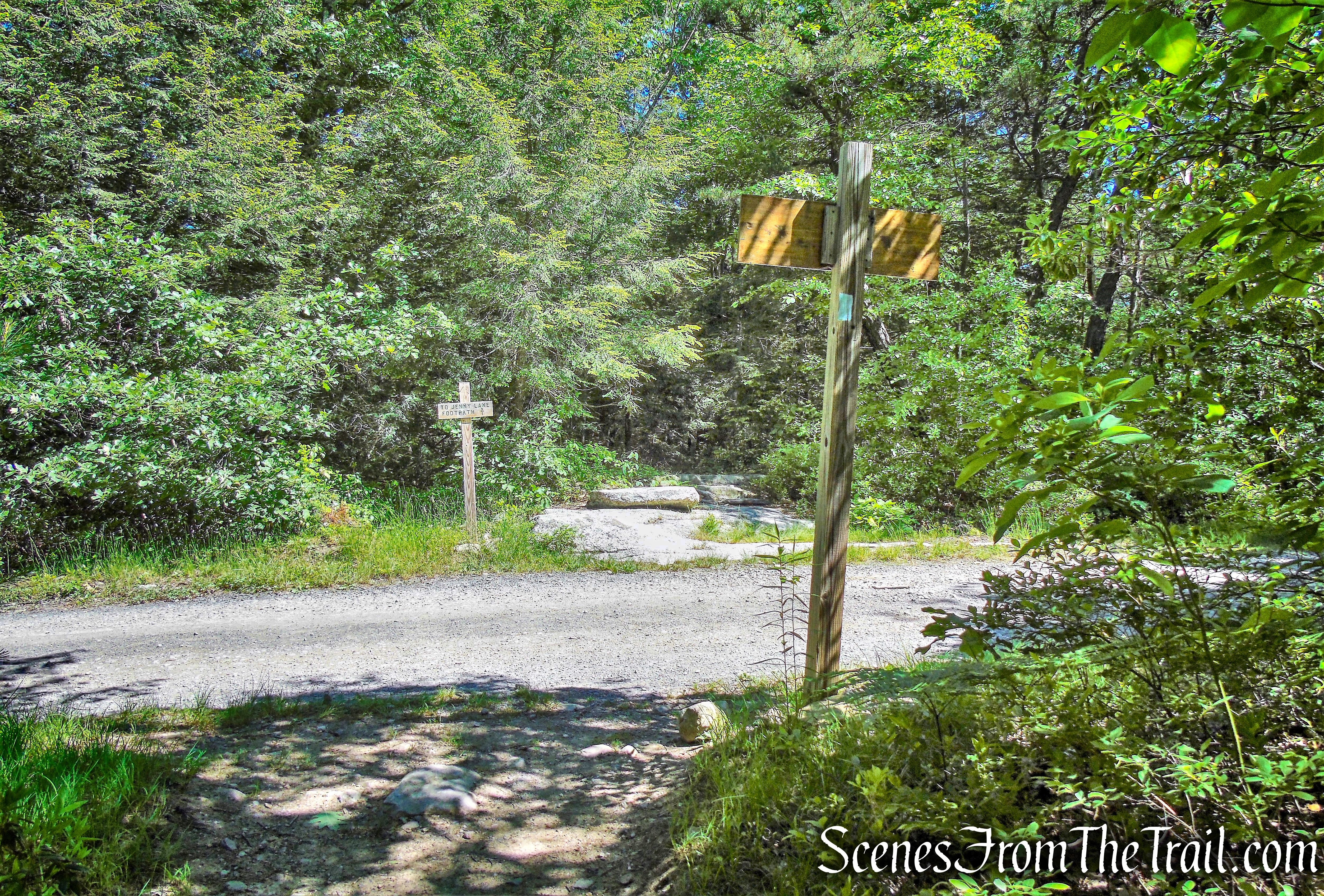 Blueberry Run Footpath crosses the Lower Awosting Carriage Road