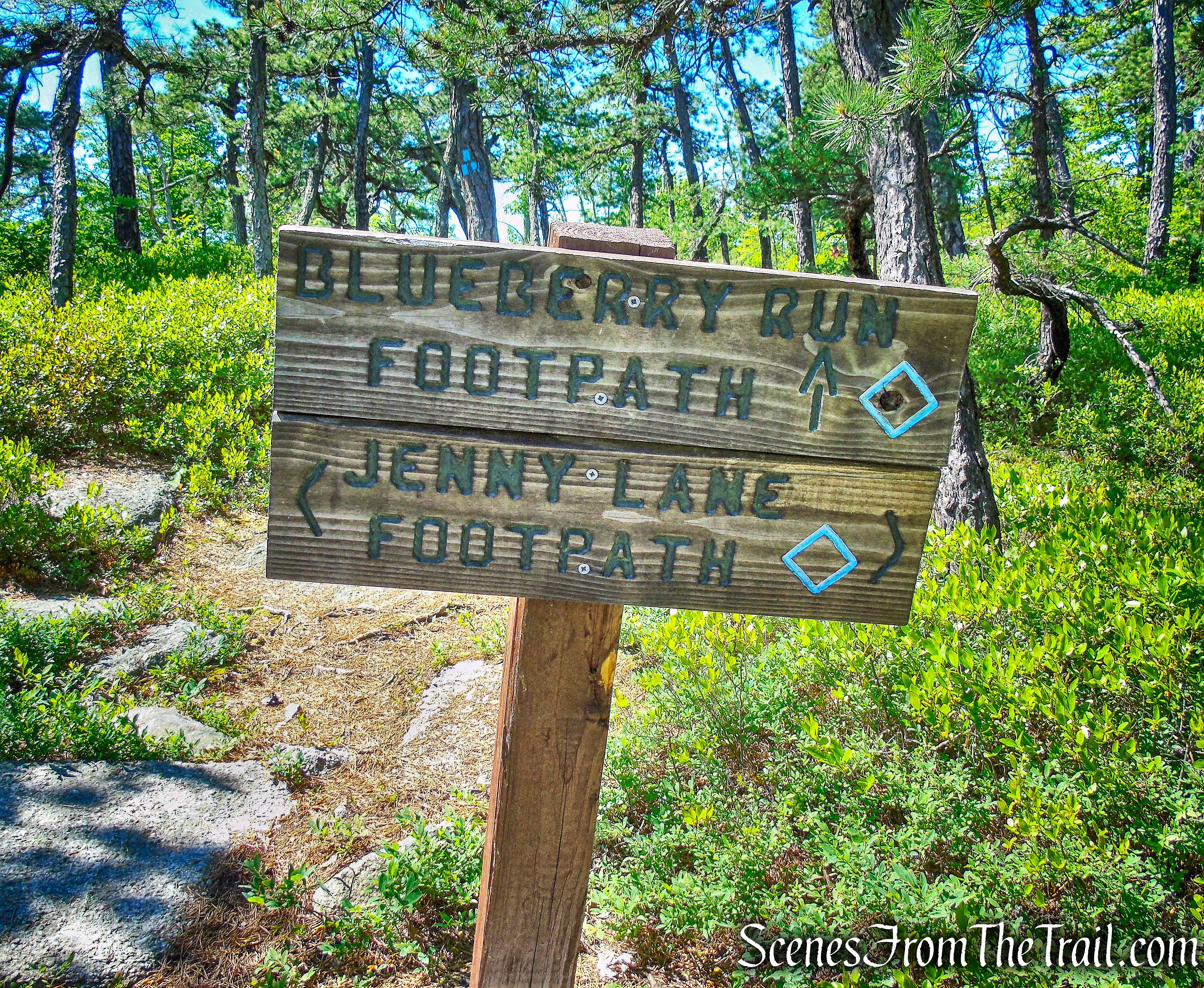 junction with the Jenny Lane Footpath