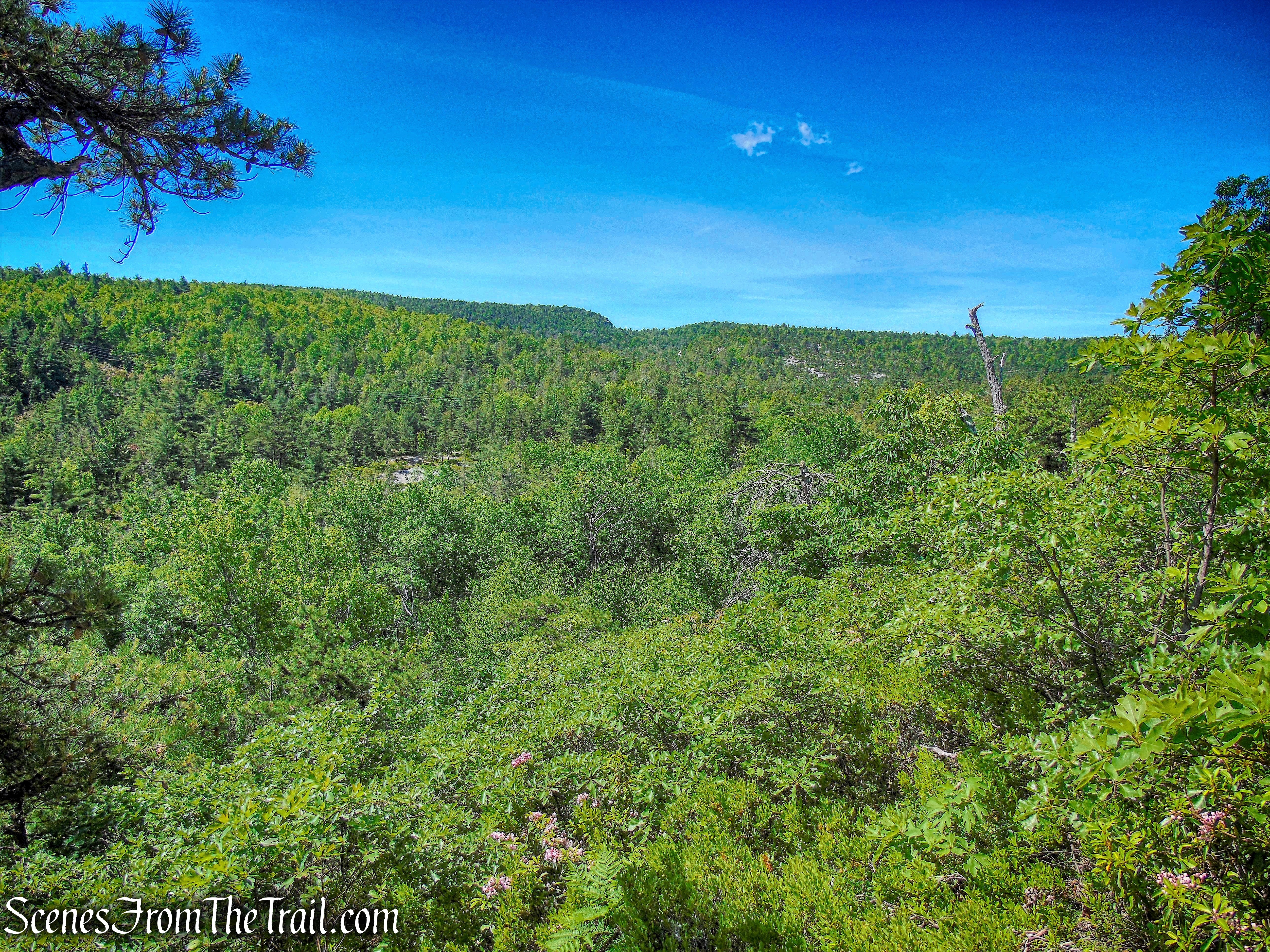 view east - Jenny Lane Footpath