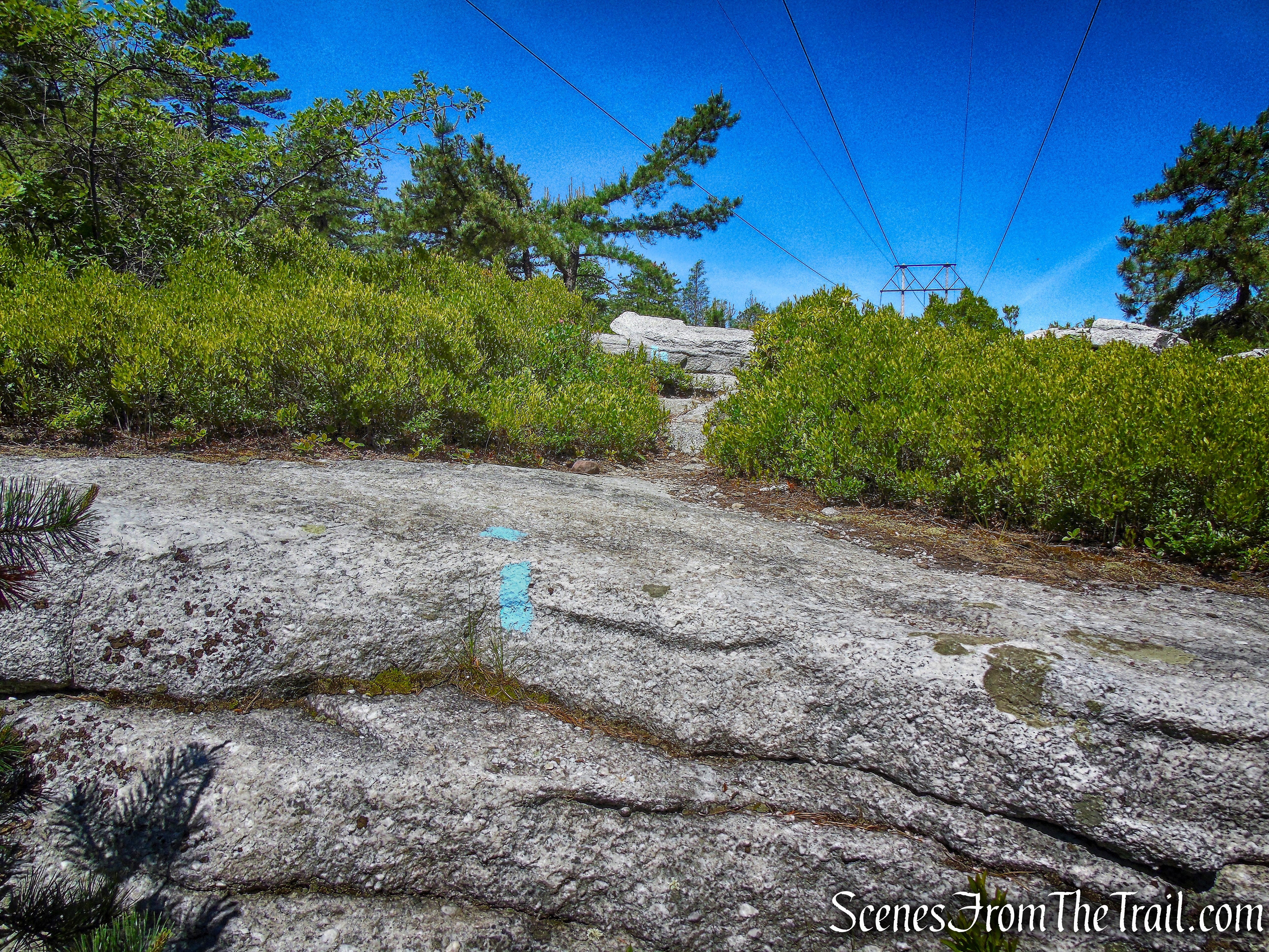 power line - Jenny Lane Footpath