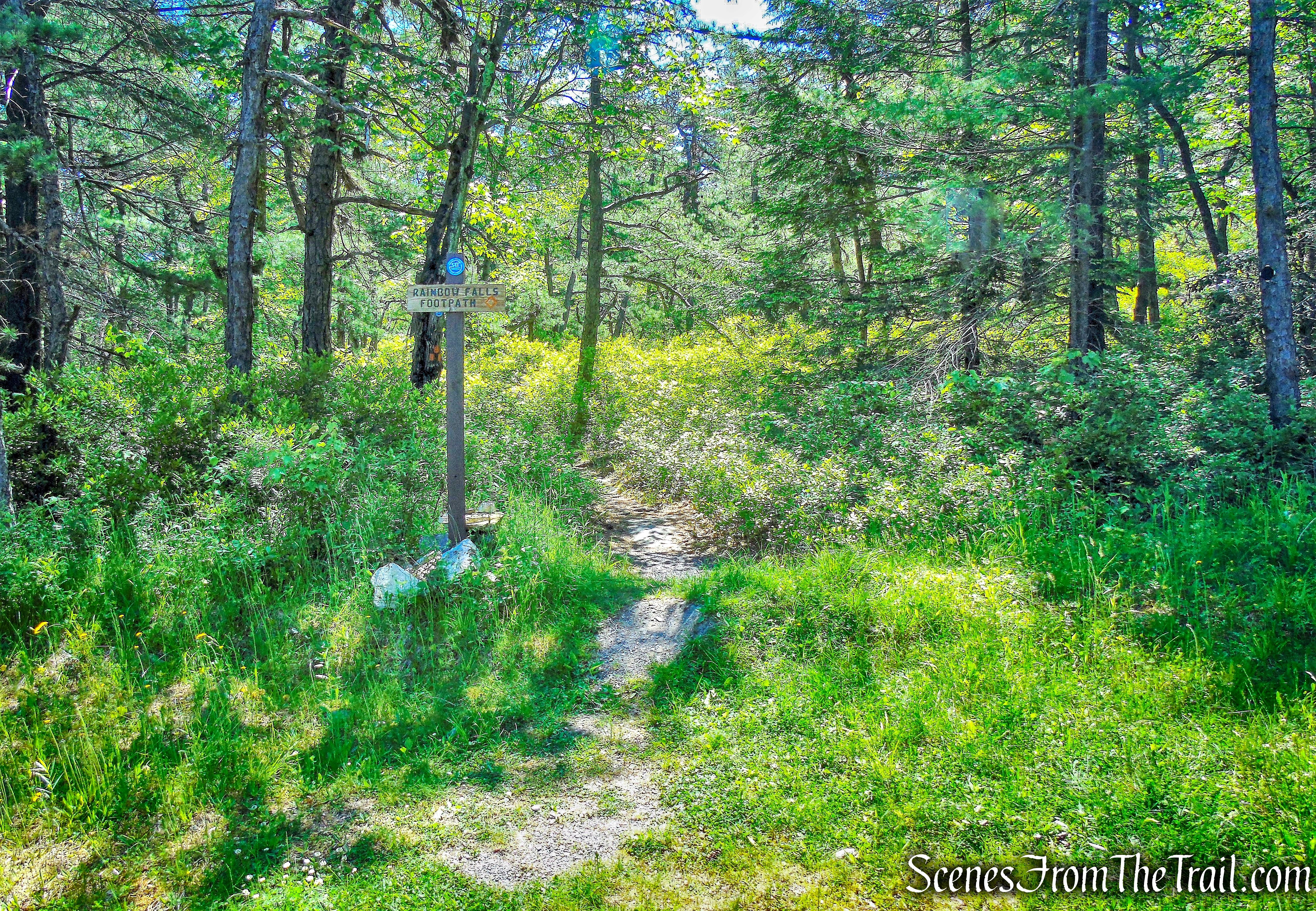 turn left on Rainbow Falls Footpath