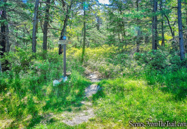turn left on Rainbow Falls Footpath