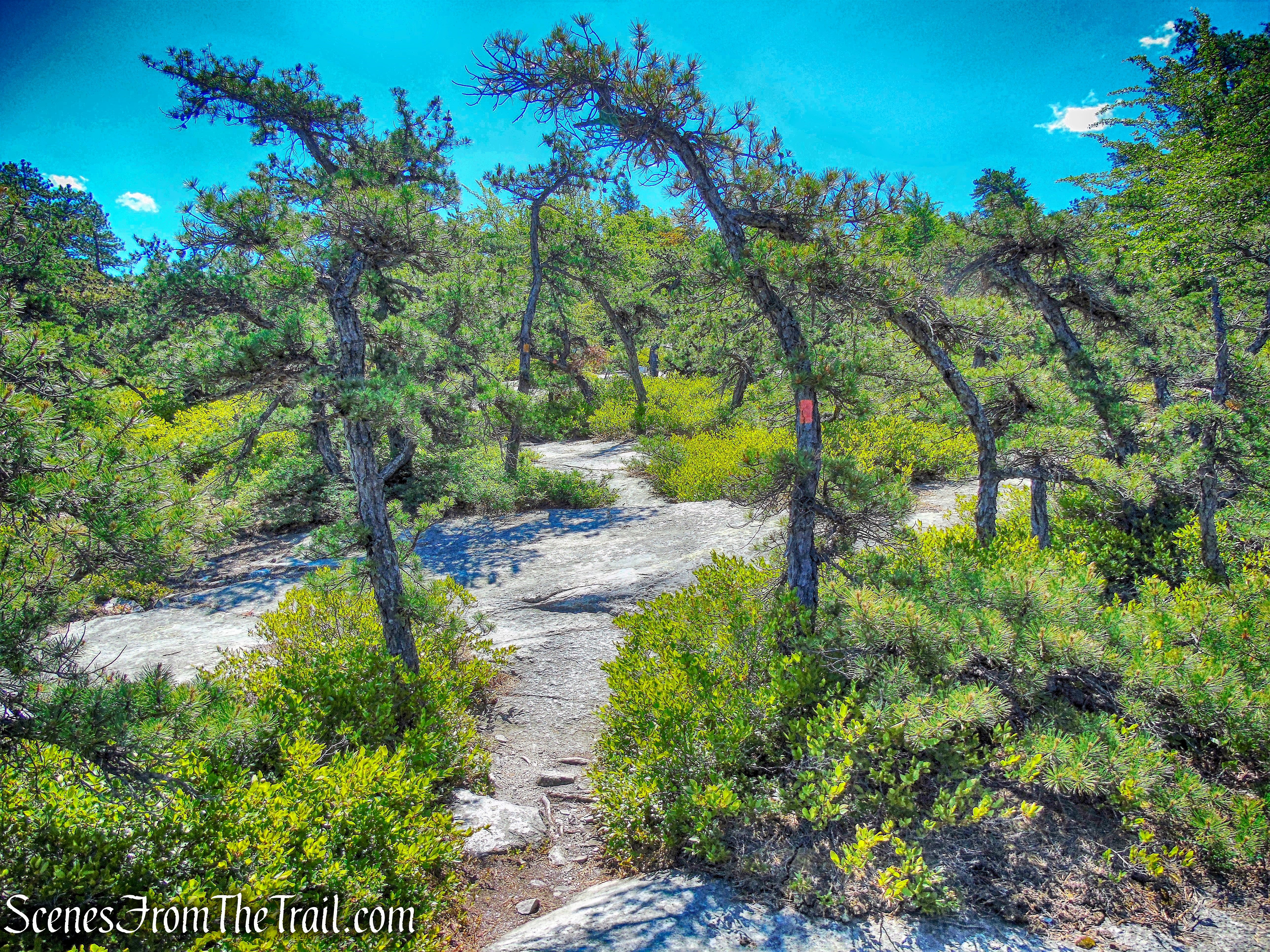 Rainbow Falls Footpath