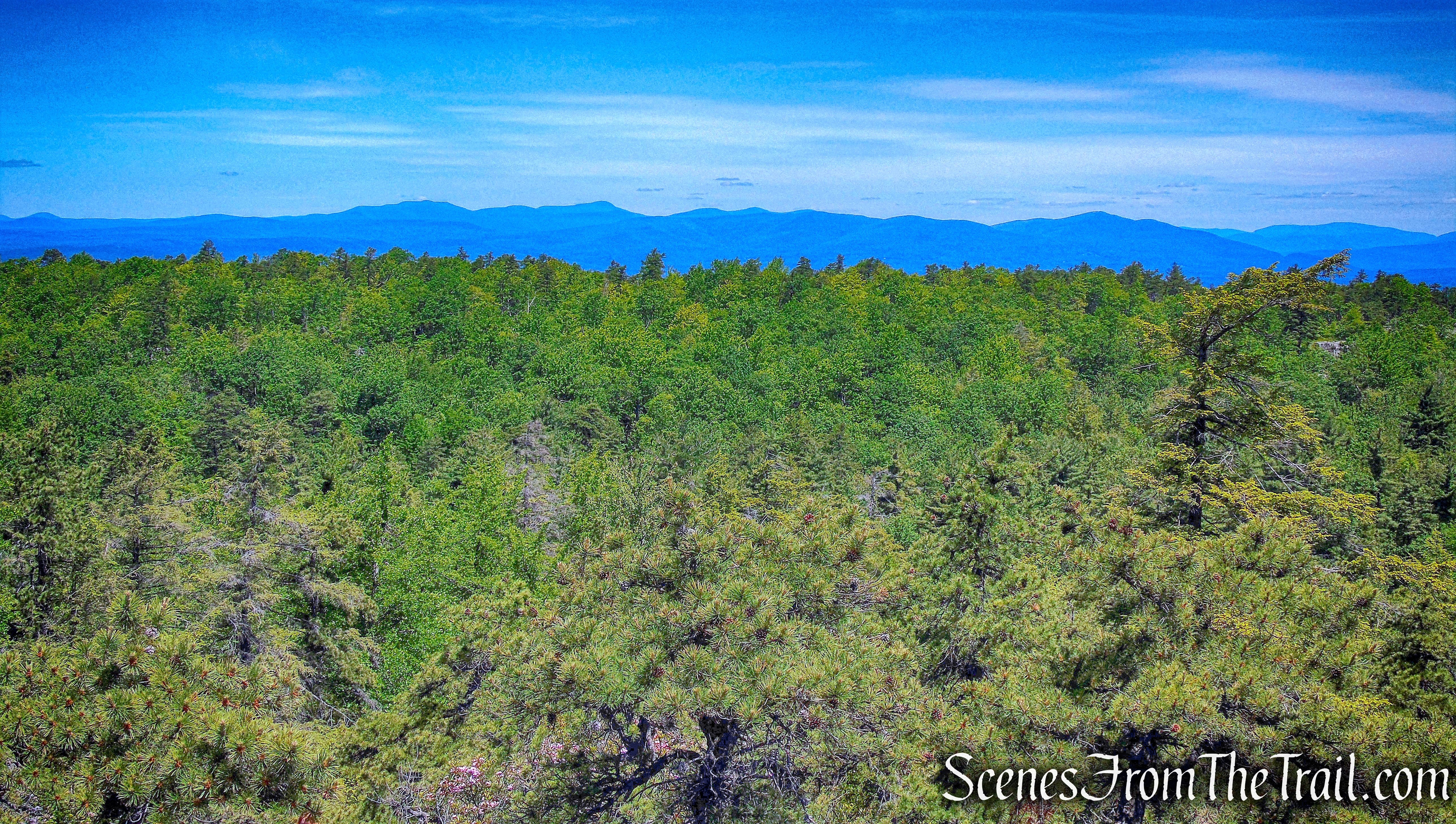 Catskills - Rainbow Falls Footpath