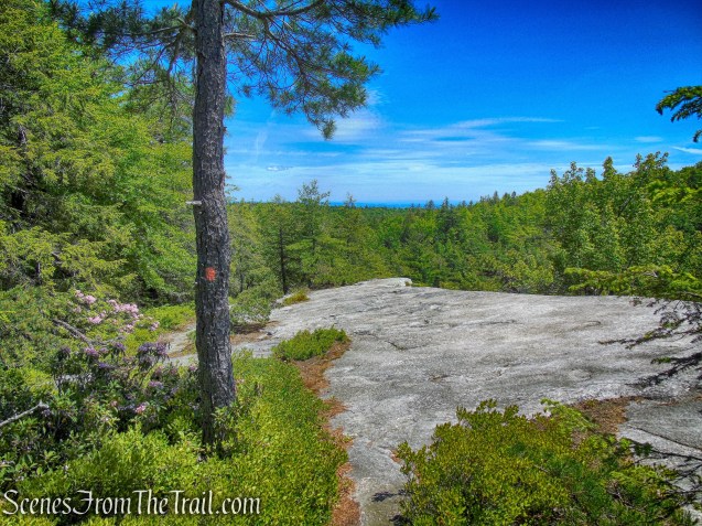 Rainbows Falls Footpath