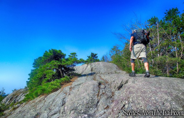 Bearfort Ridge and Surprise Lake from State Line Trailhead