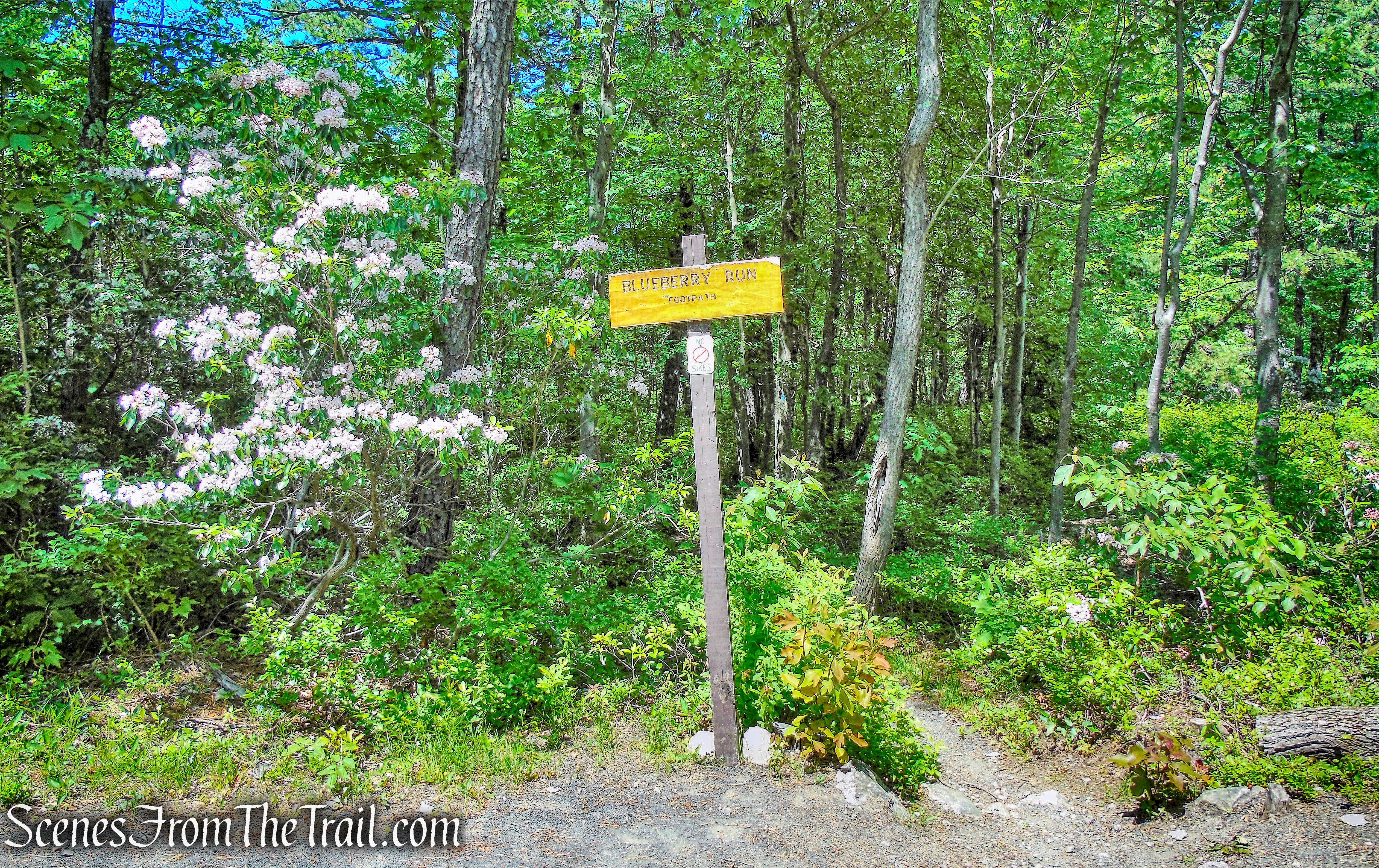Blueberry Run Footpath