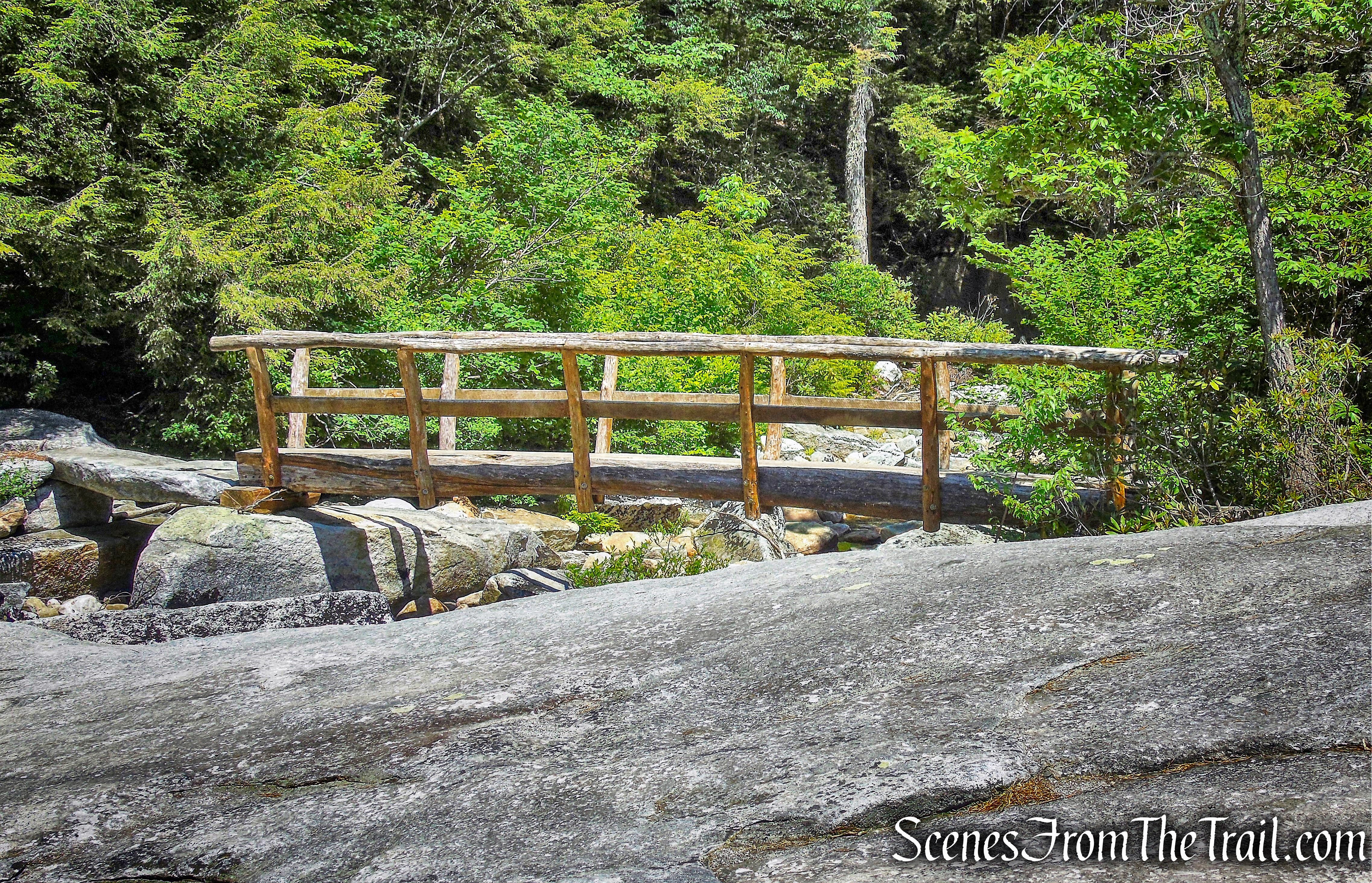 one-log footbridge - Blueberry Run Footpath