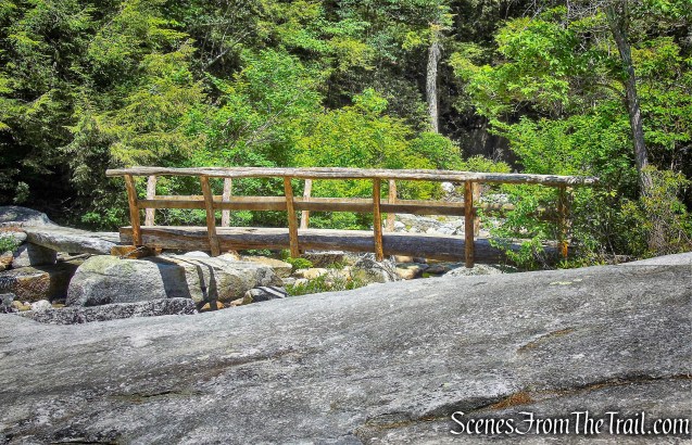 one-log footbridge - Blueberry Run Footpath
