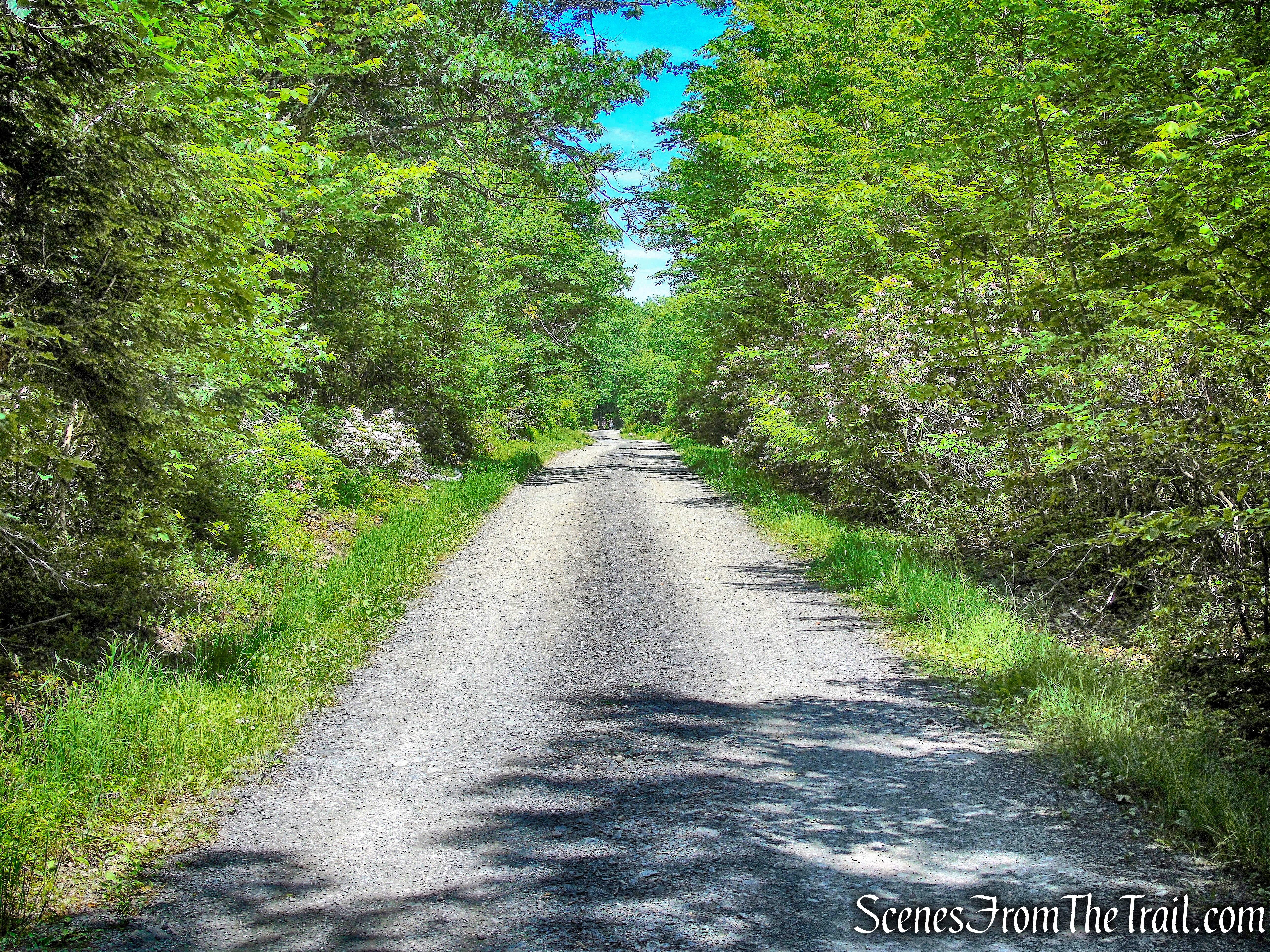 Lower Awosting Carriage Road