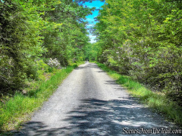 Lower Awosting Carriage Road