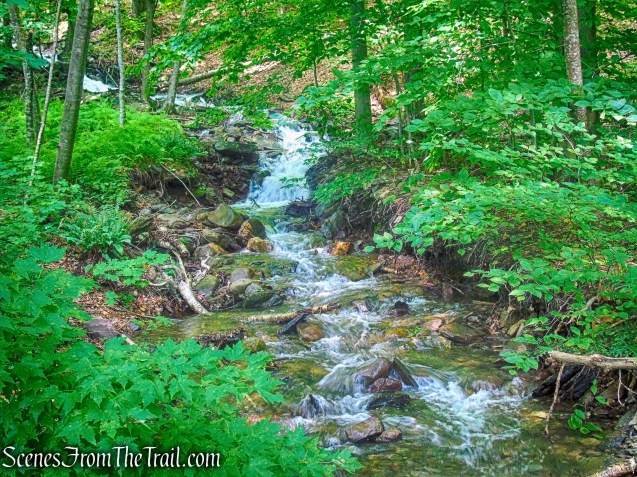 cascades - State Line Trail