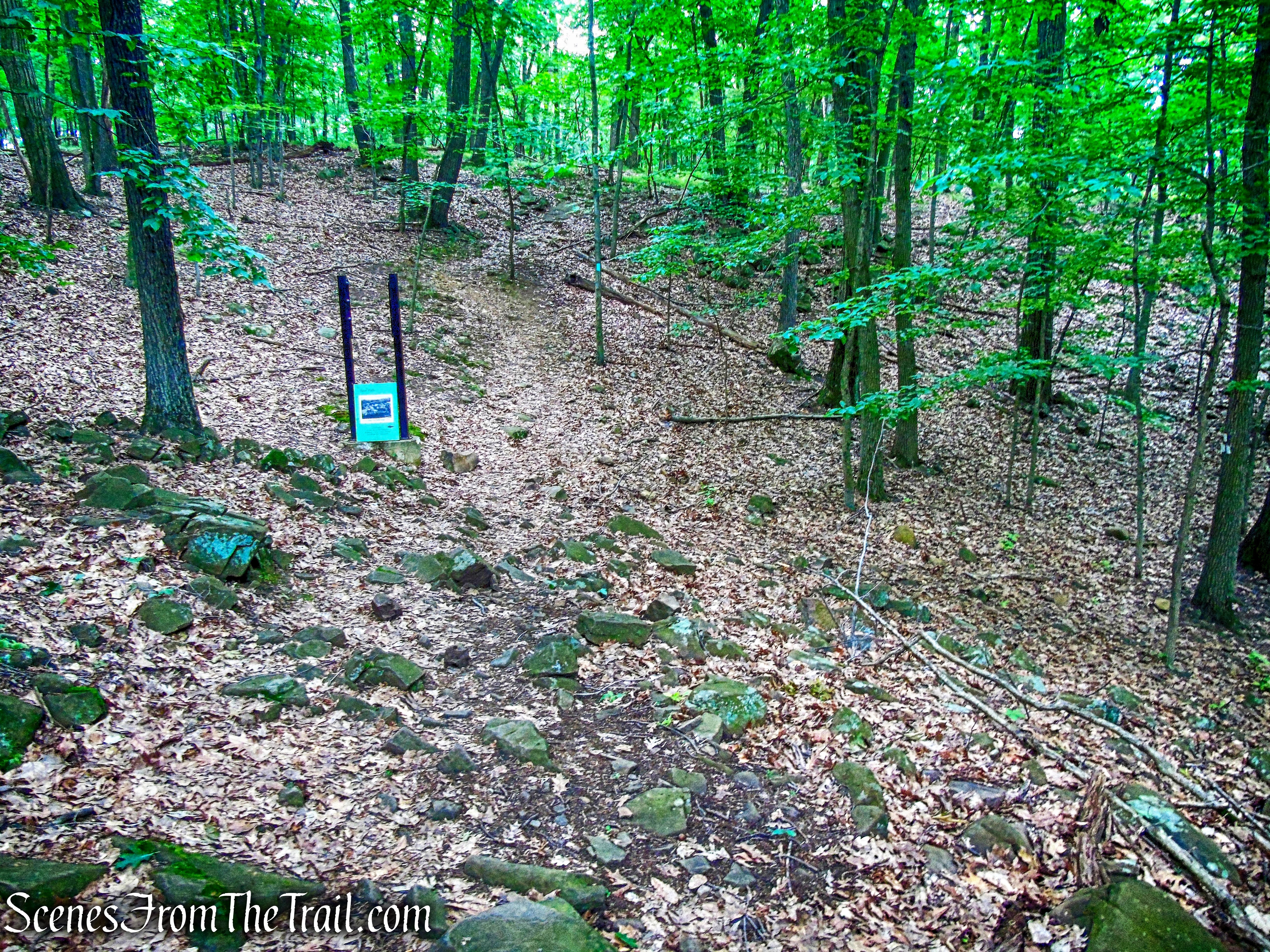 junction with the Spur Path