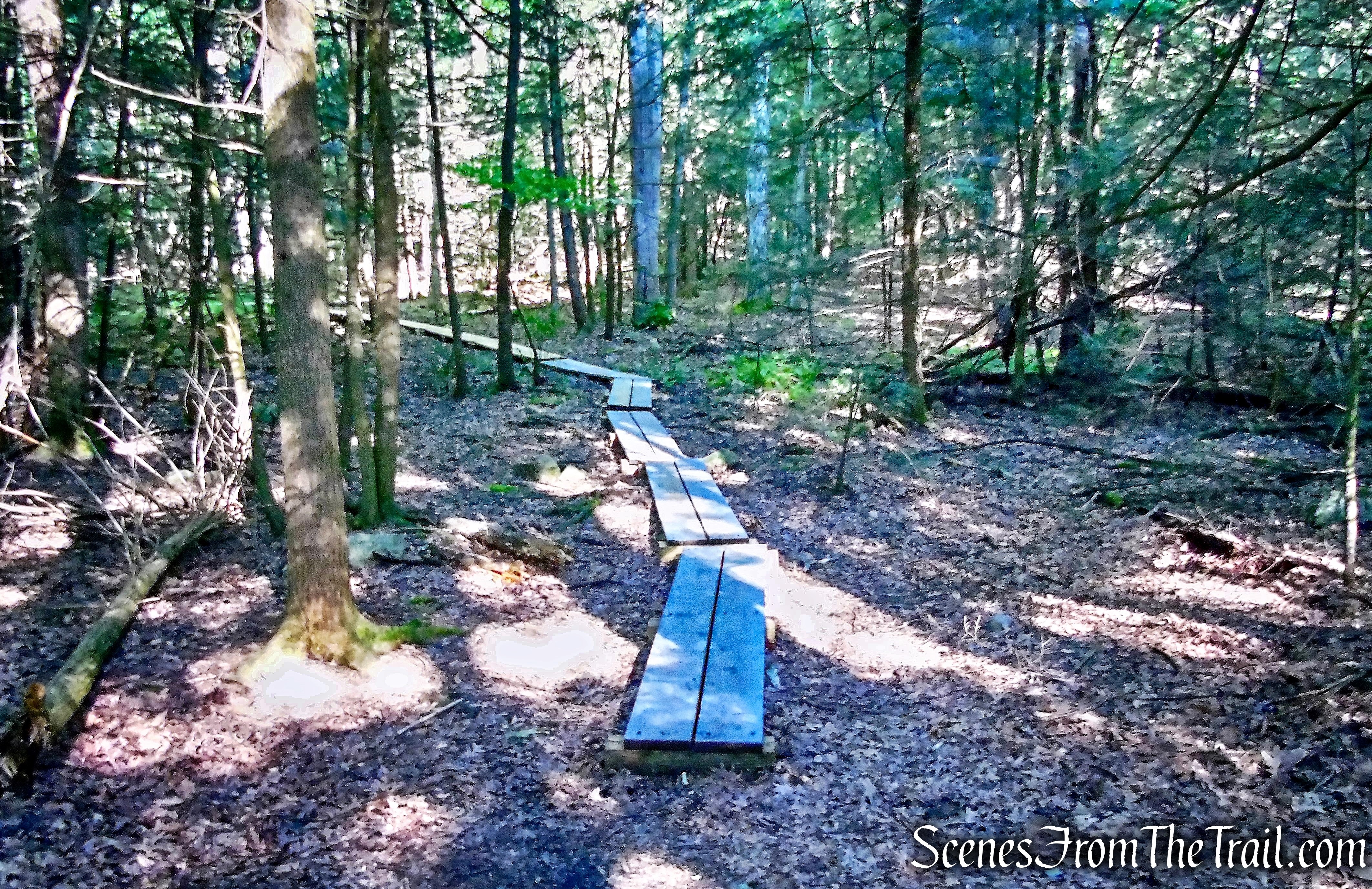 High Peter’s Kill Trail