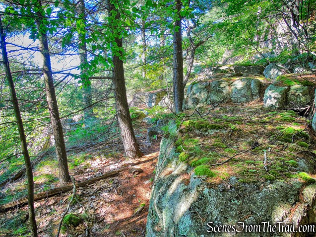 unmarked path atop the cliffs