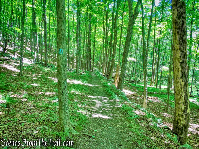 High Peter's Kill Trail