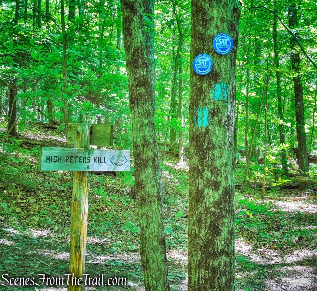 High Peter's Kill Trail