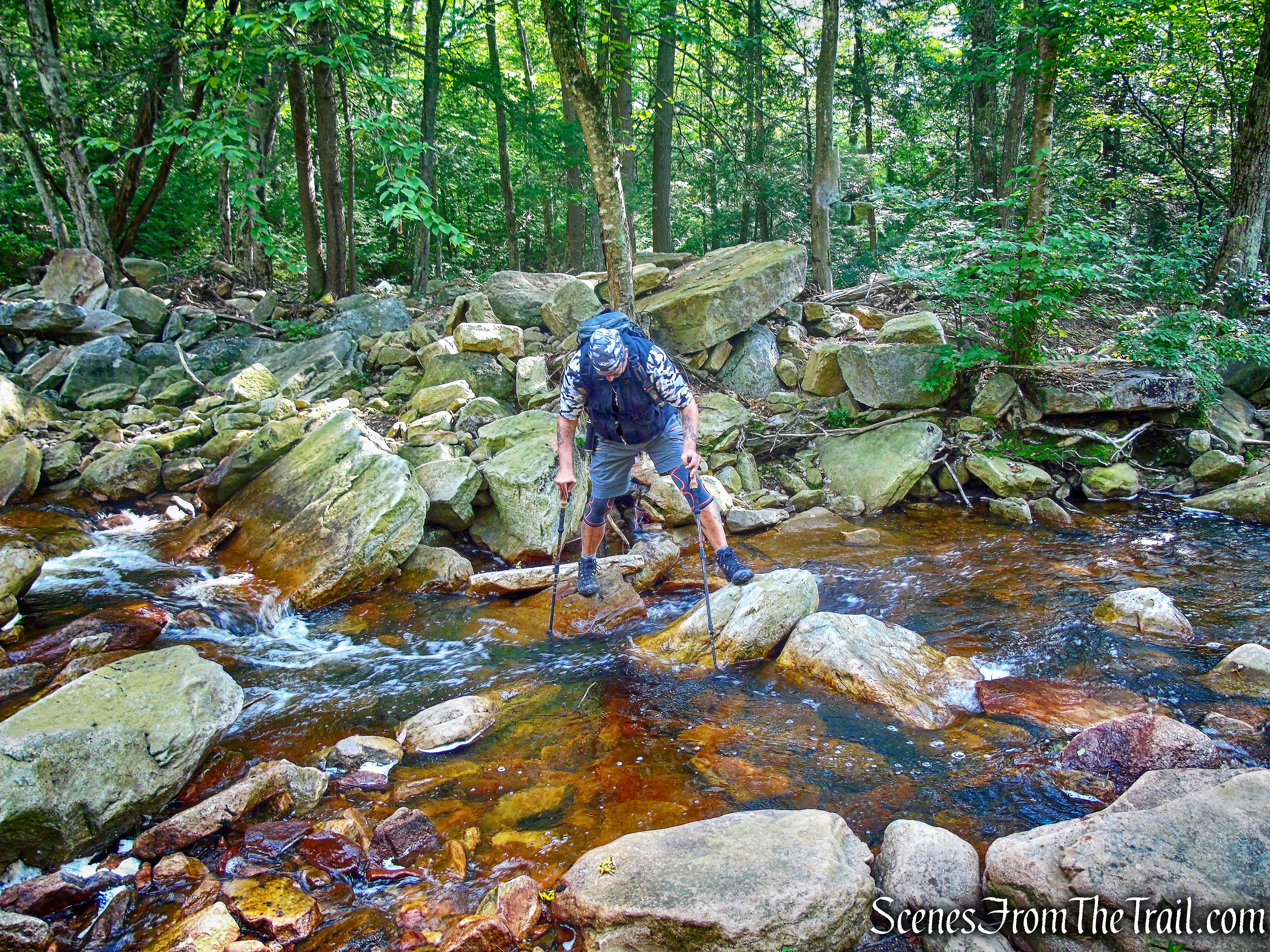 Crossing the Peter's Kill in front of Saw Mill Falls