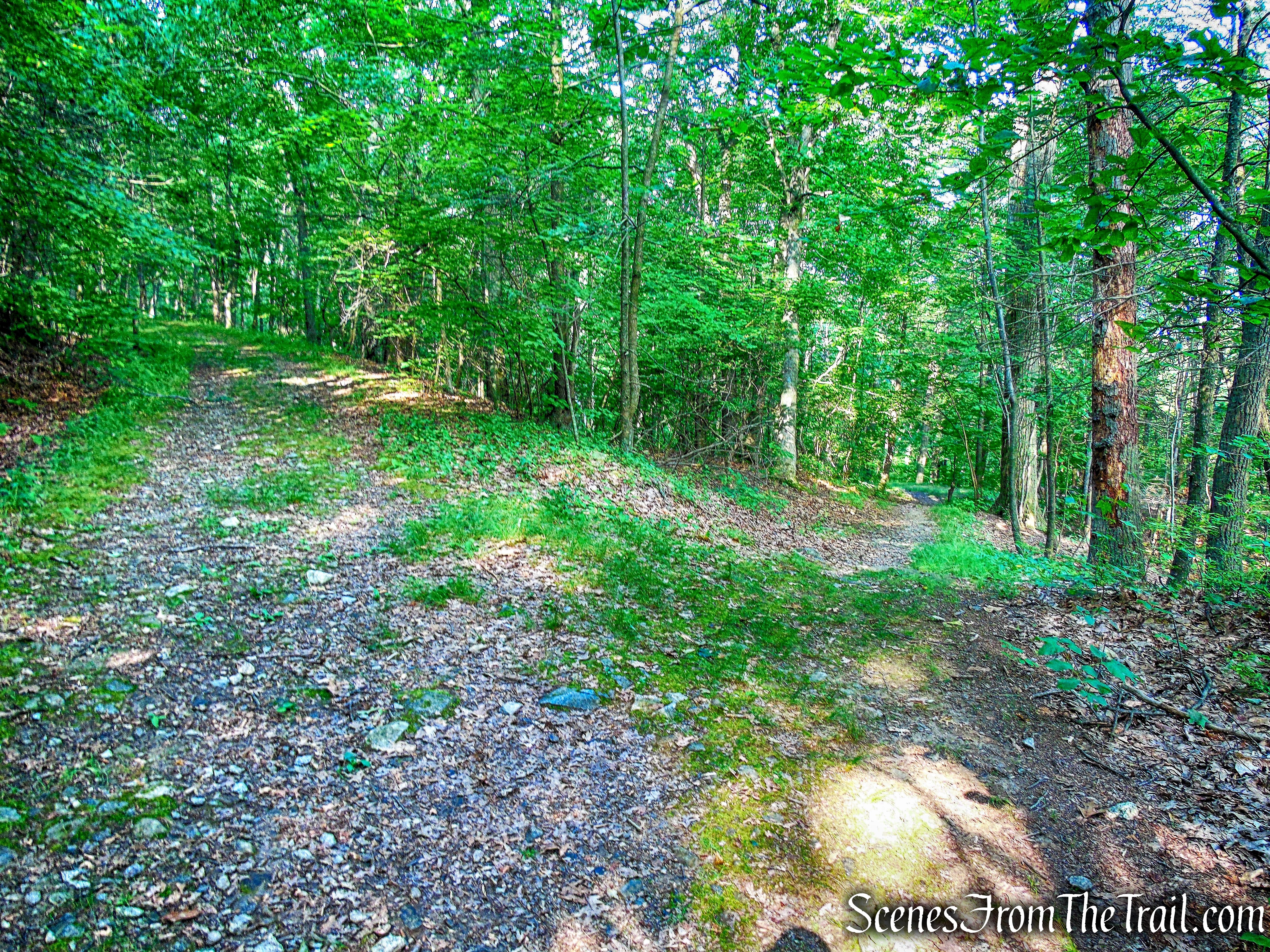 Stay left on Military Road