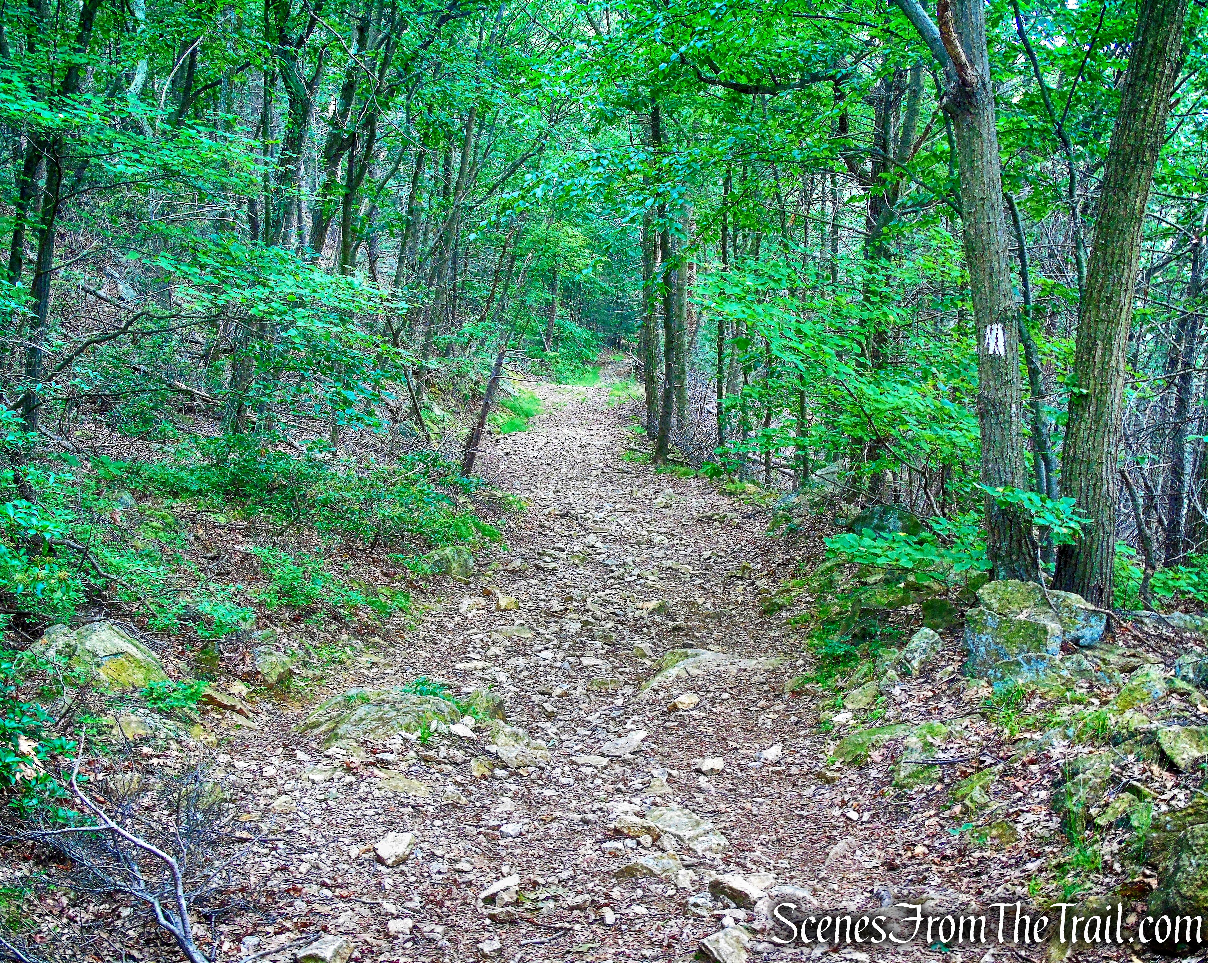 turn left on Appalachian Trail